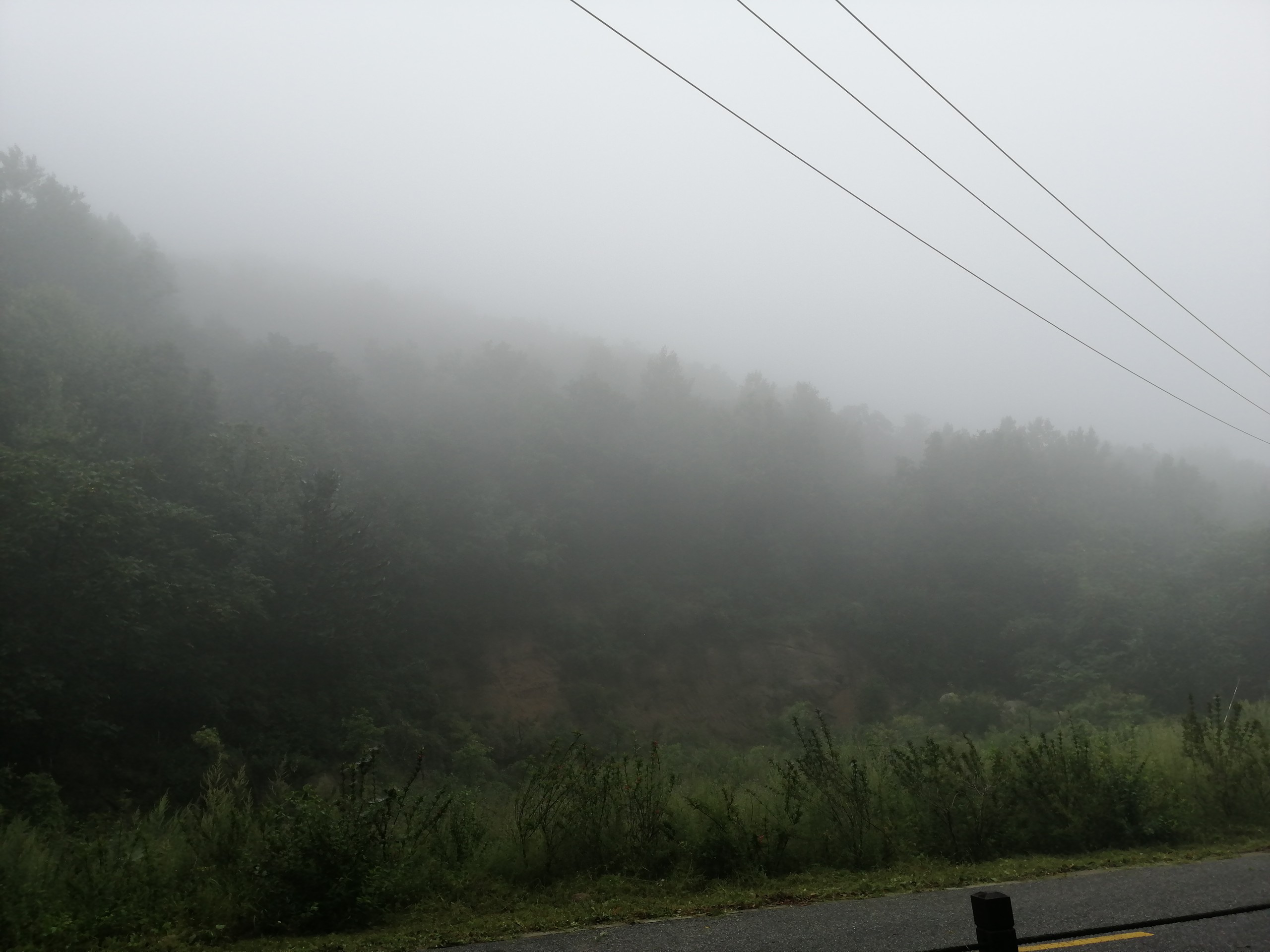 IMG_20210815_103037.jpg
