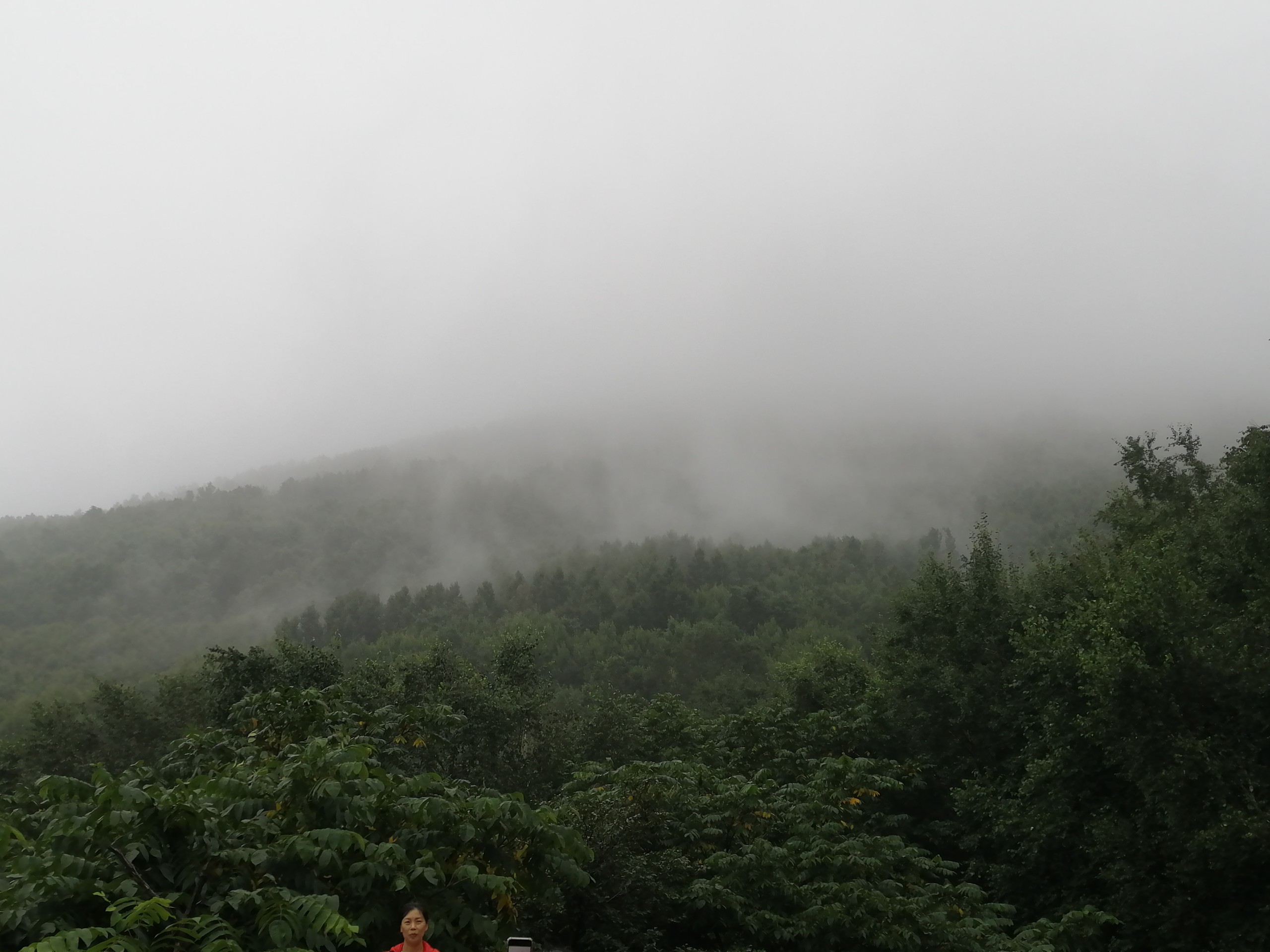 IMG_20210815_122123.jpg