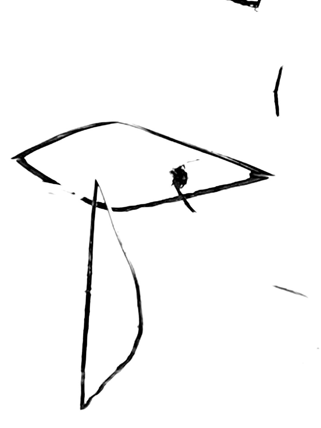 123926_副本.jpg