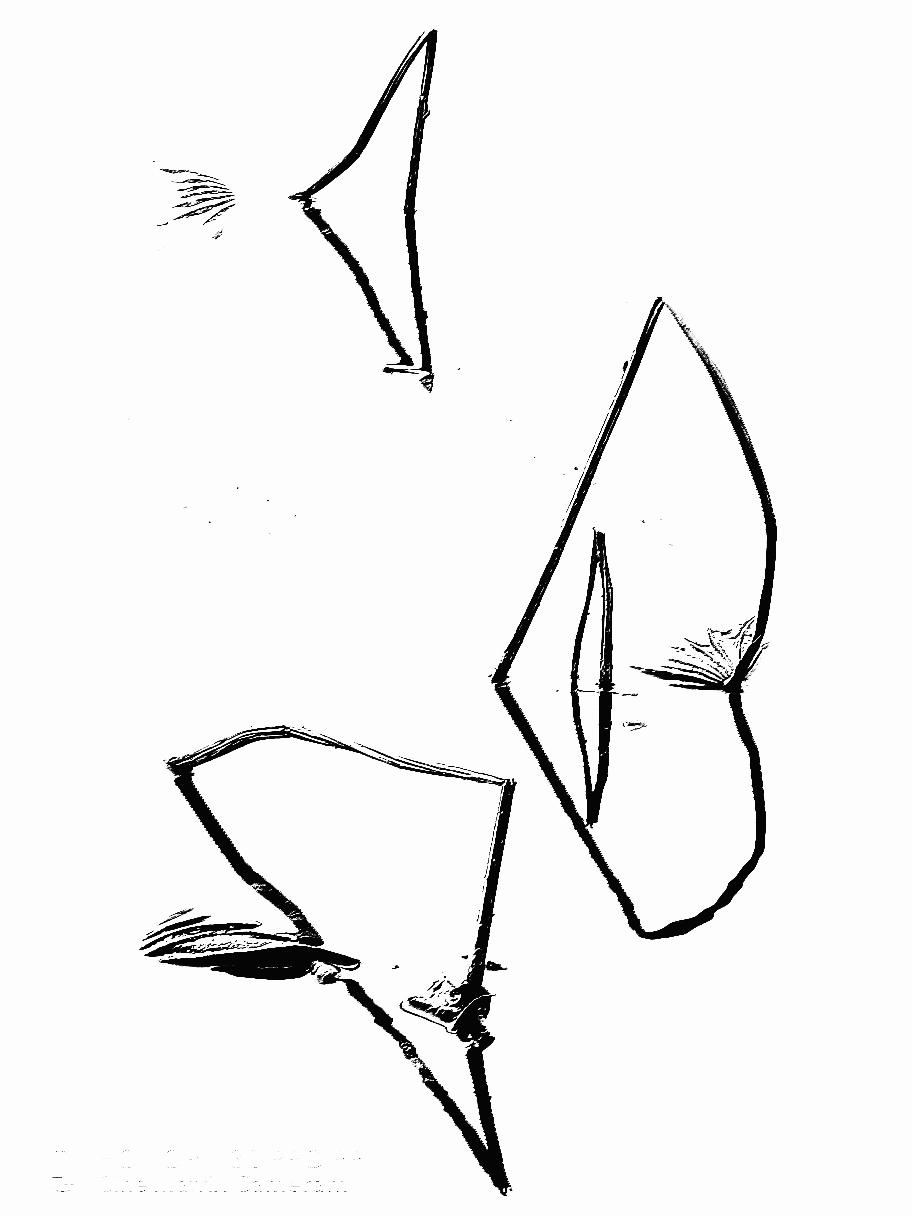 125138_副本_副本.jpg