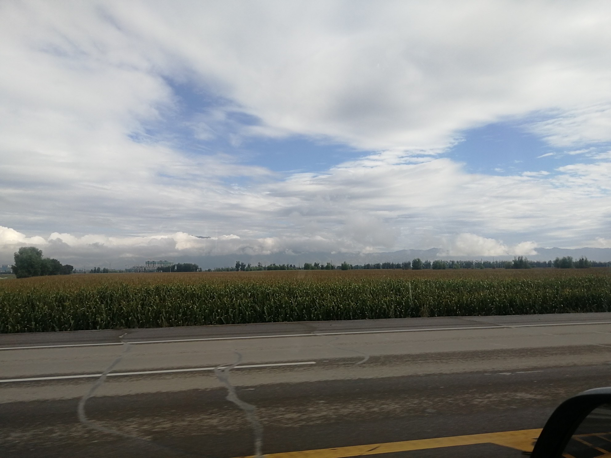 IMG_20210906_084759.jpg