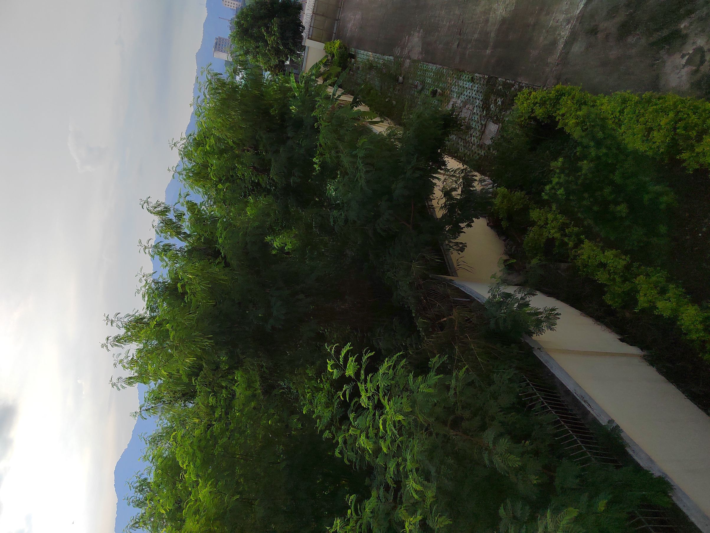 IMG_20210906_072719.jpg