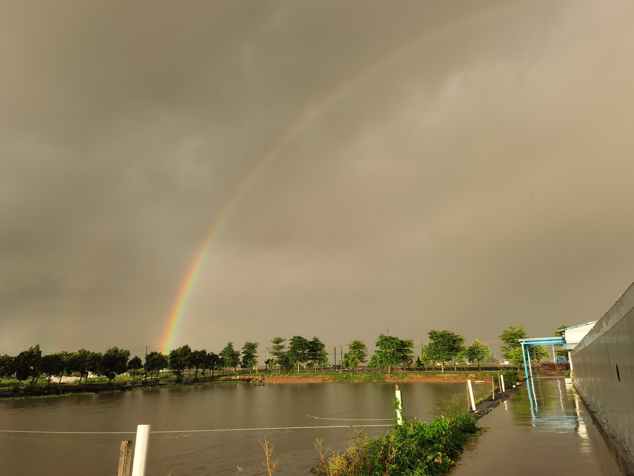 IMG_20210708_061925.jpg