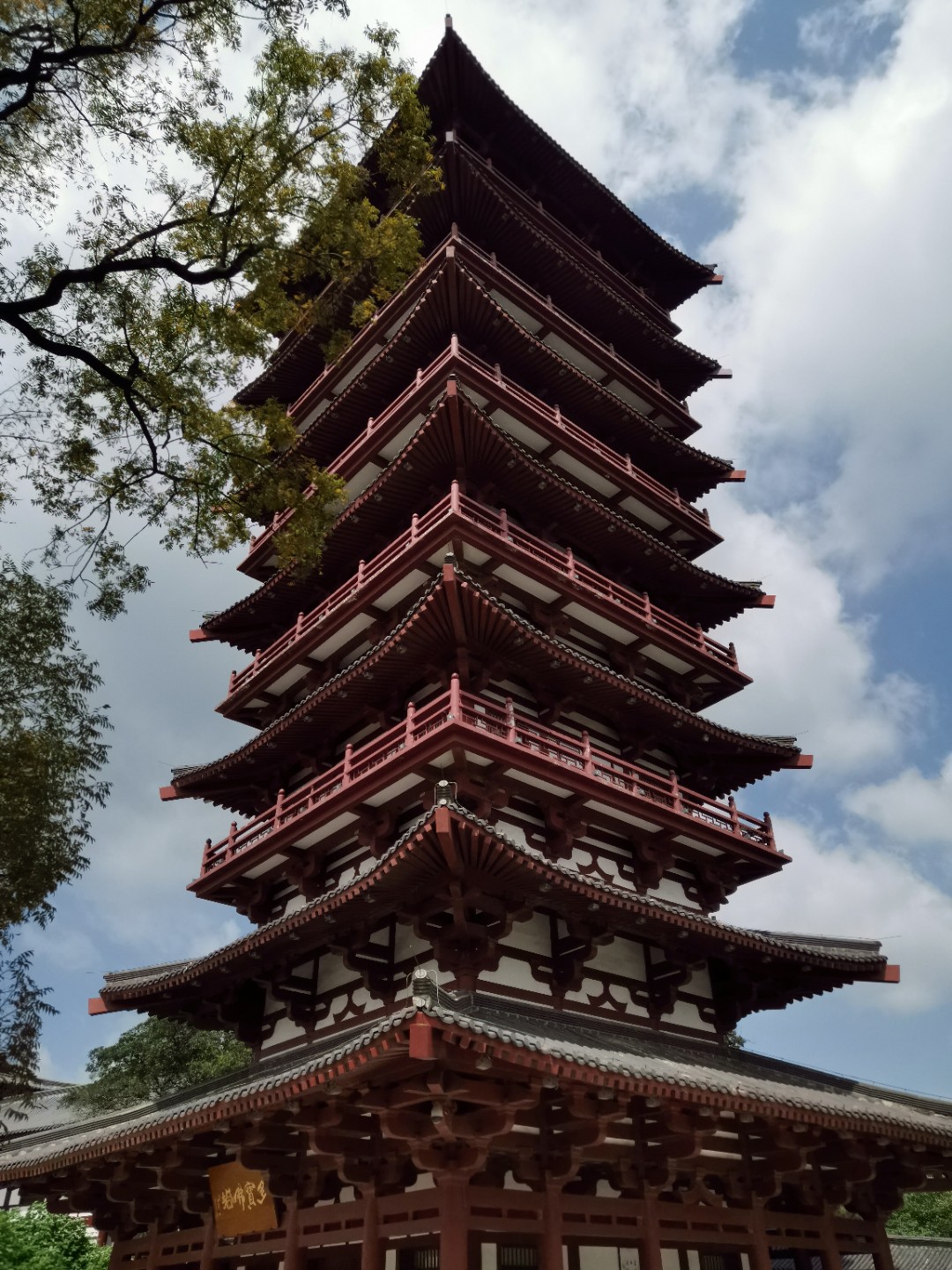 IMG_20200918_115040.jpg