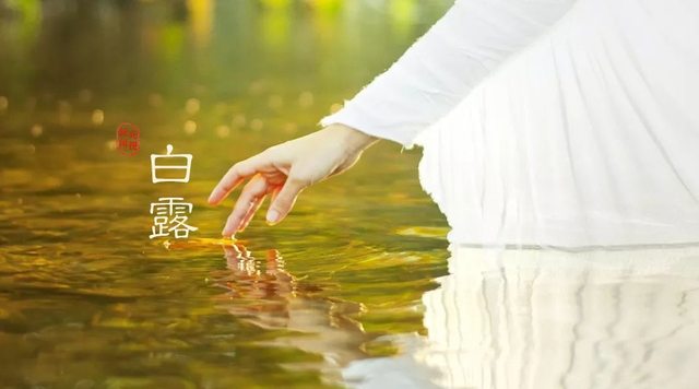 mmexport4ac506d55d14dd1d8630278a37c65fd7_1630982510470.png