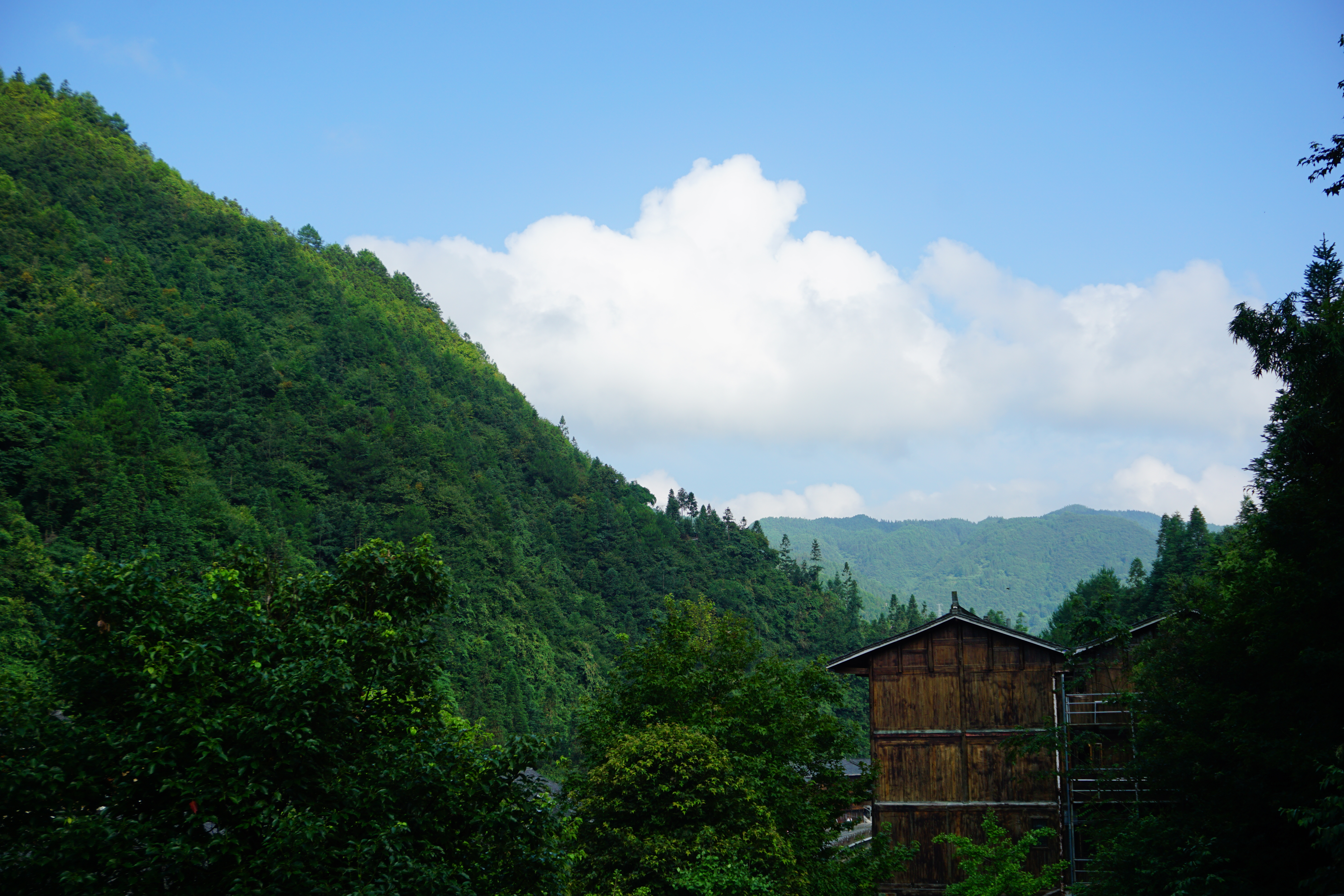 DSC03106.JPG