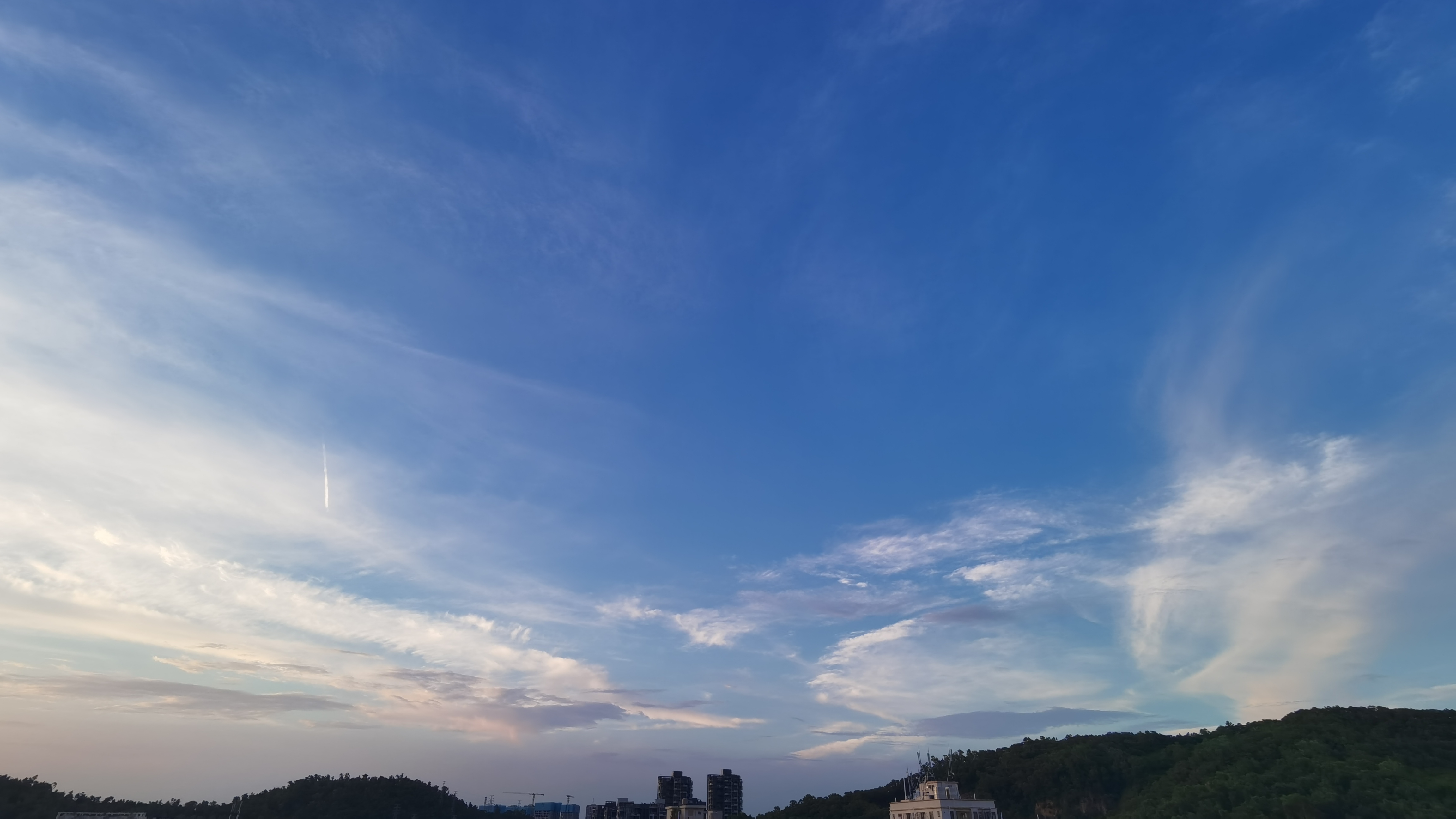 IMG_20210820_184417.jpg