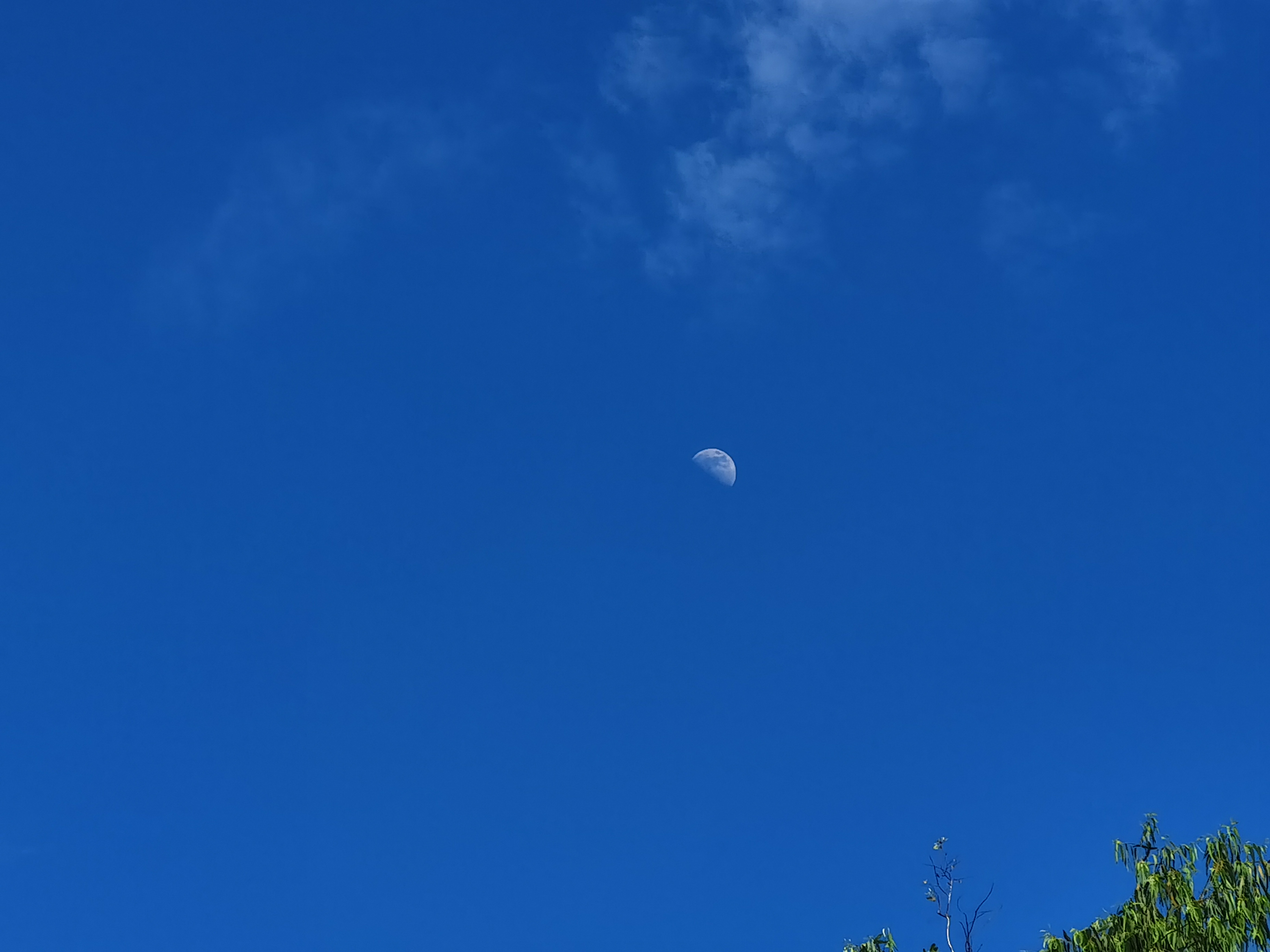 IMG_20210816_164715.jpg