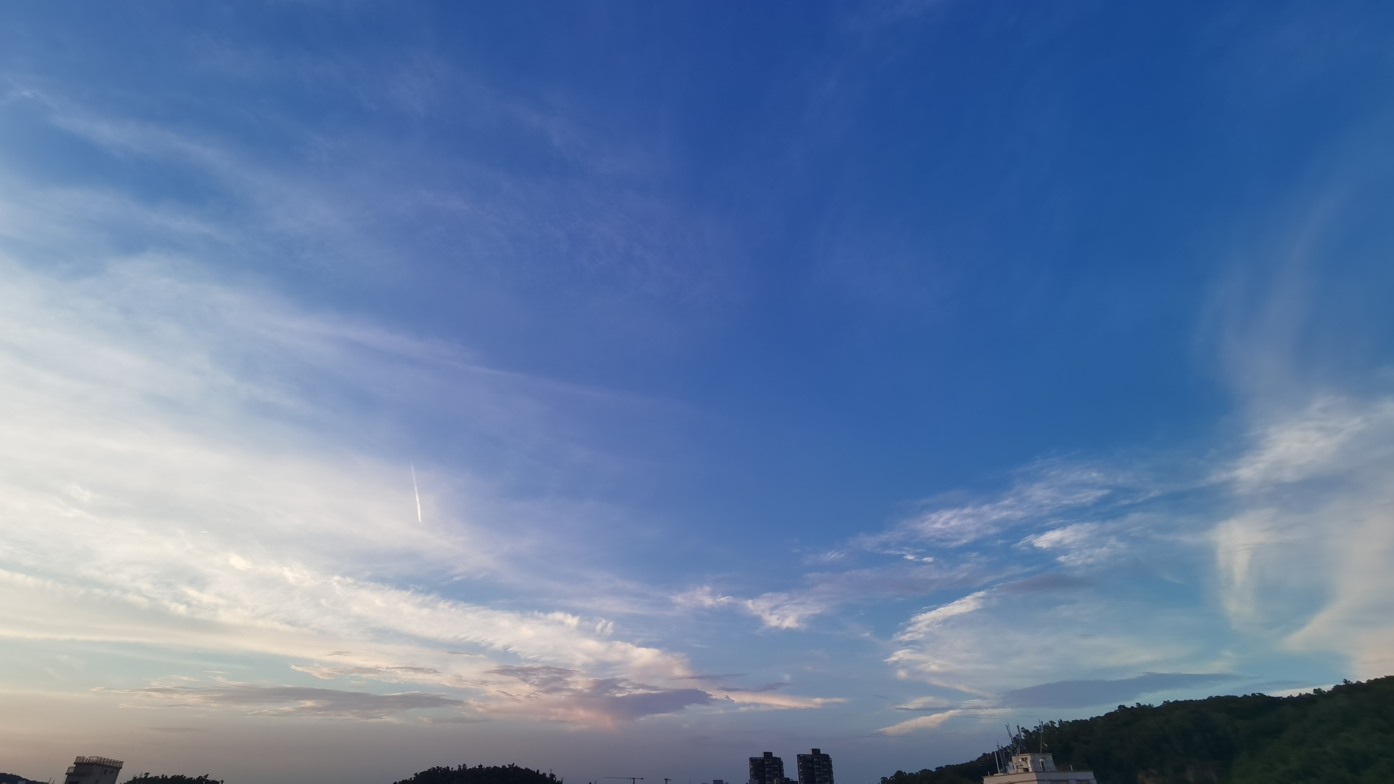 IMG_20210820_184427.jpg
