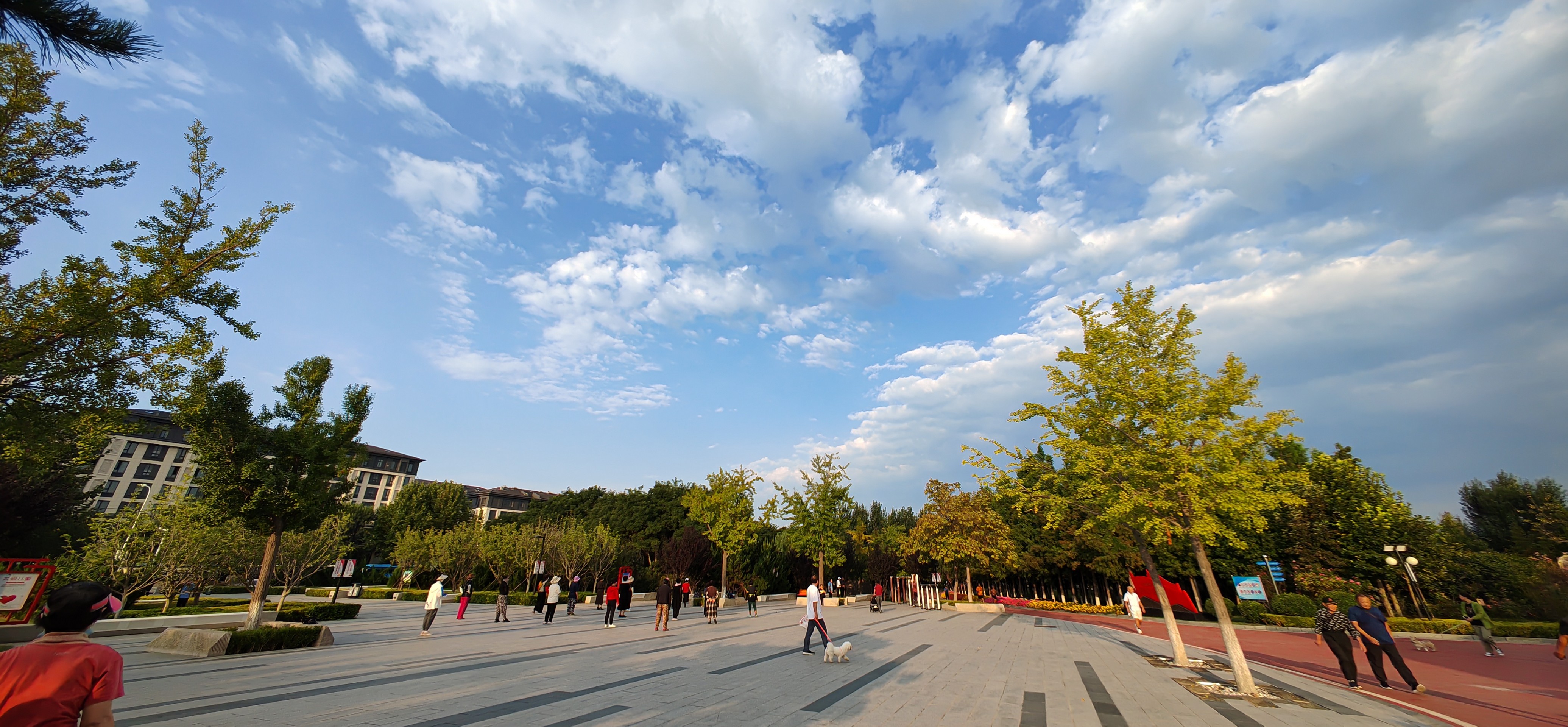 IMG_20210908_064447.jpg