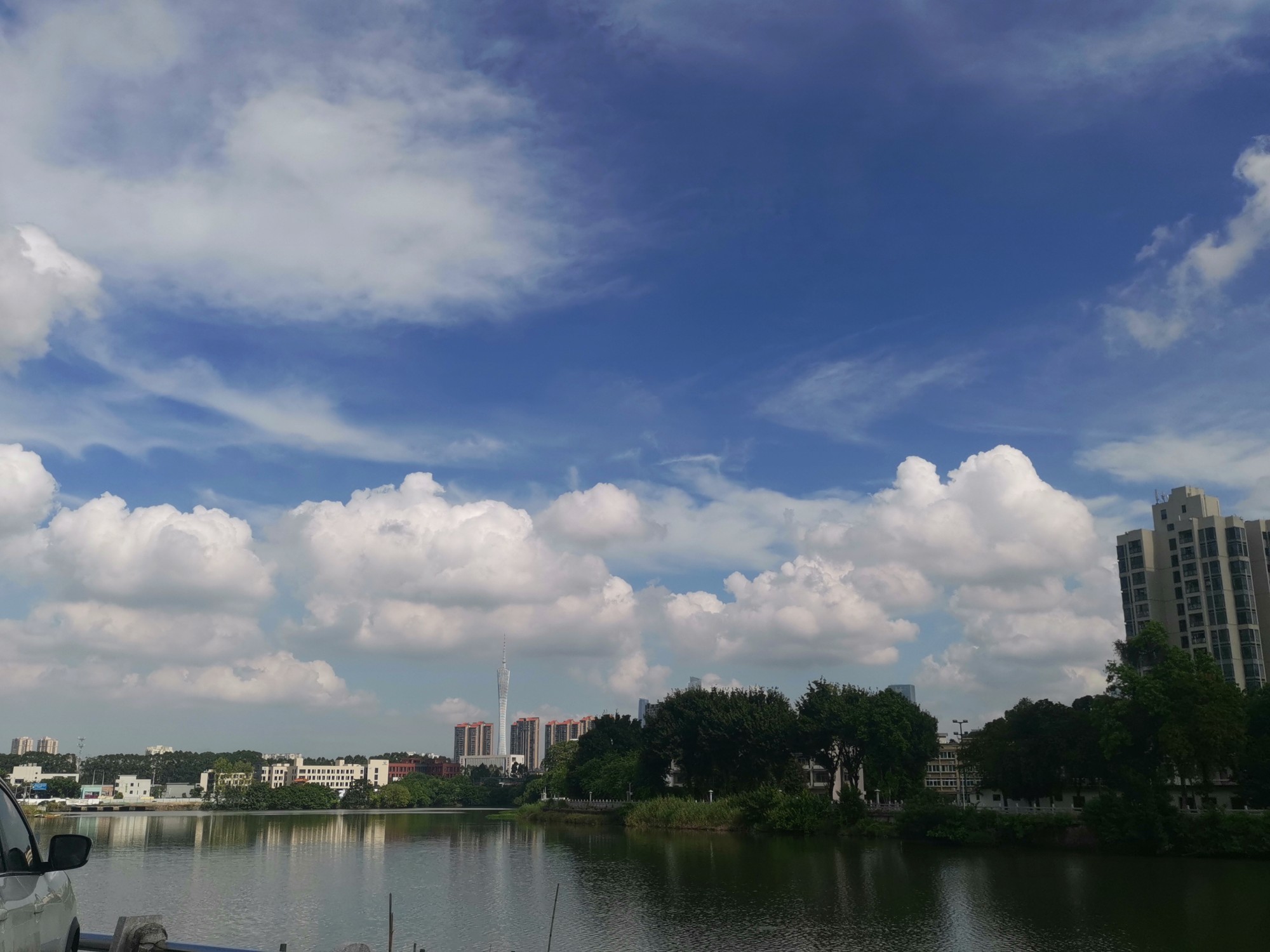 IMG_20210908_094638.jpg