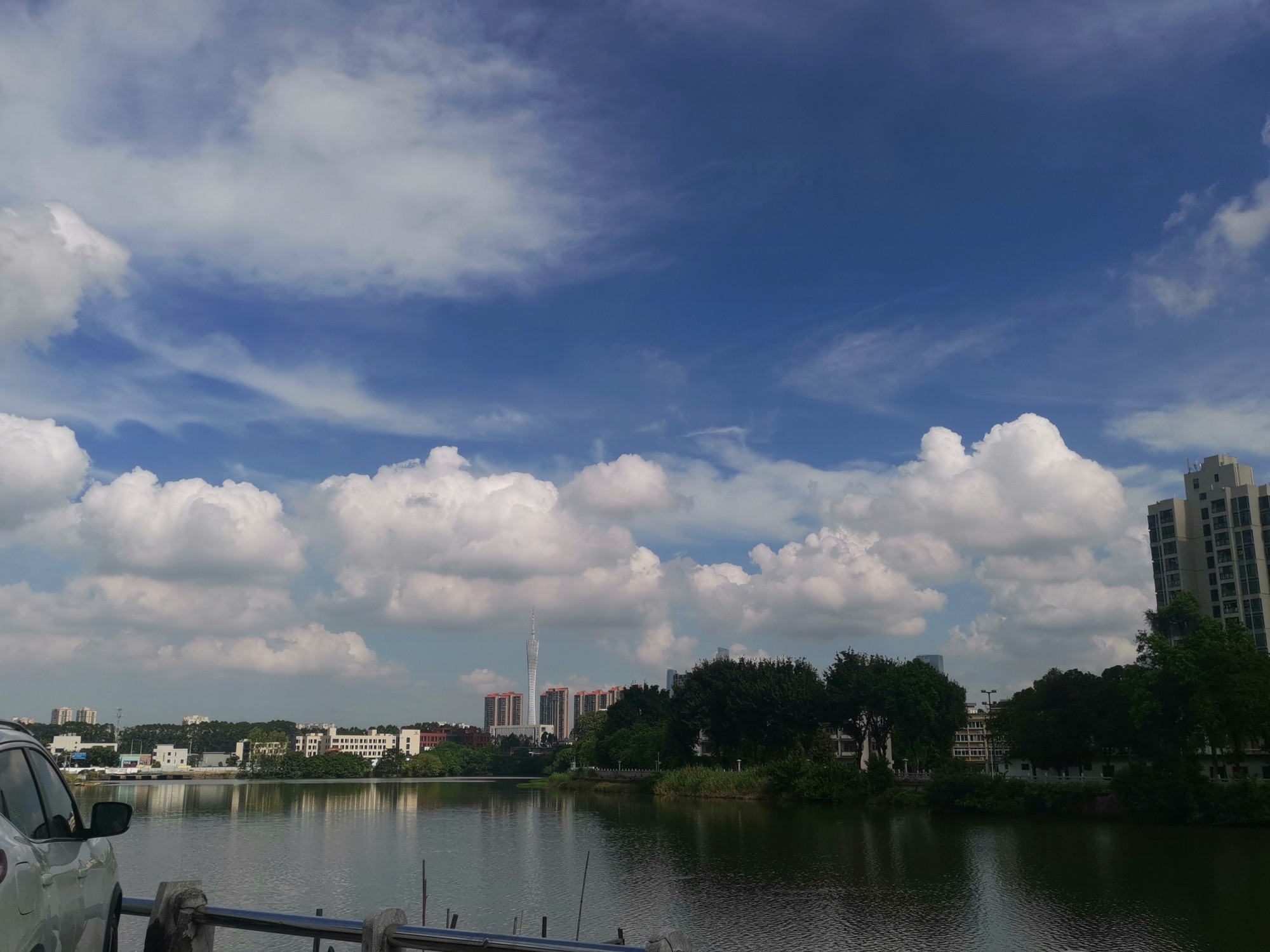 IMG_20210908_094643.jpg