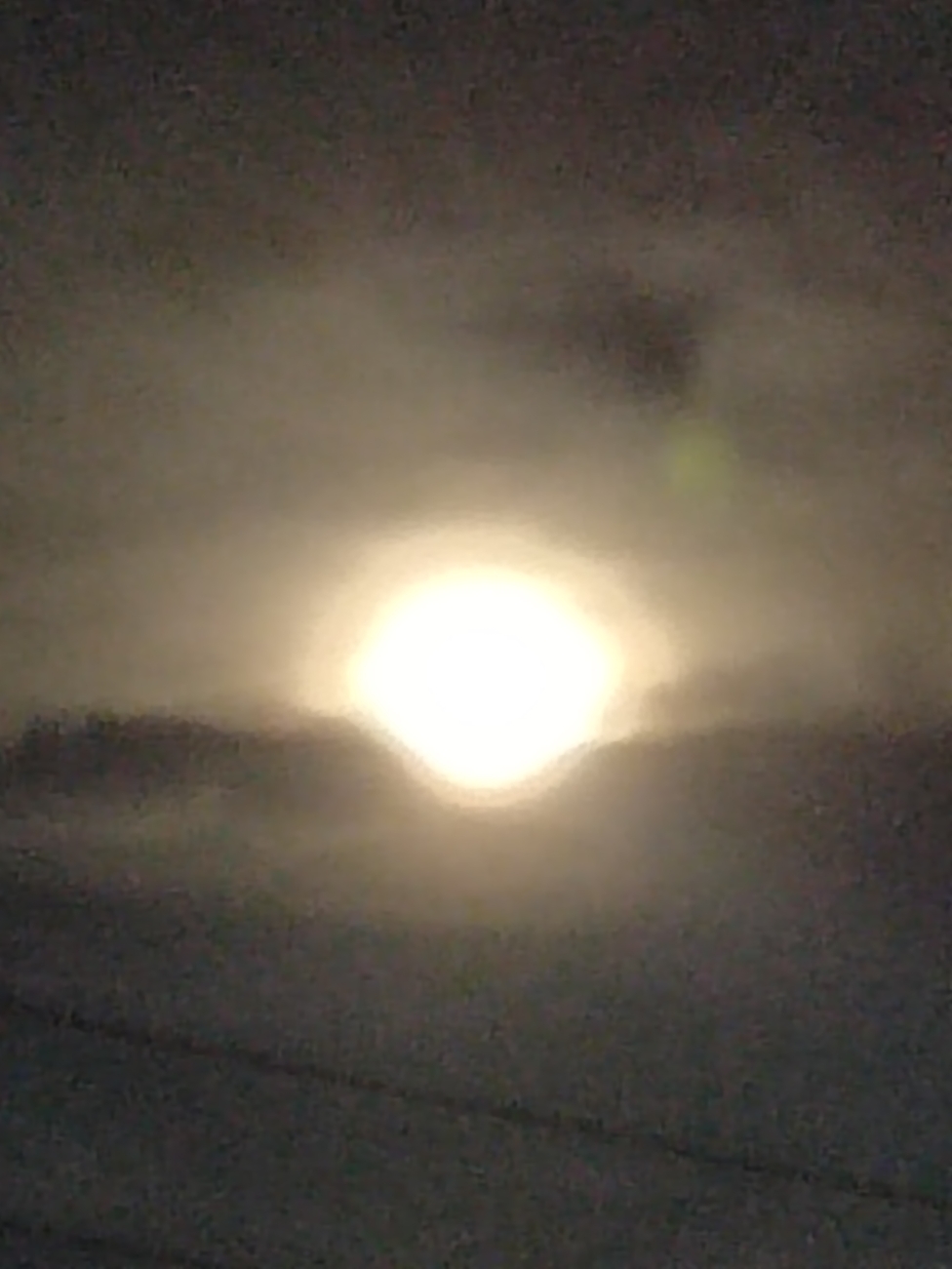 IMG_20210821_202351.jpg