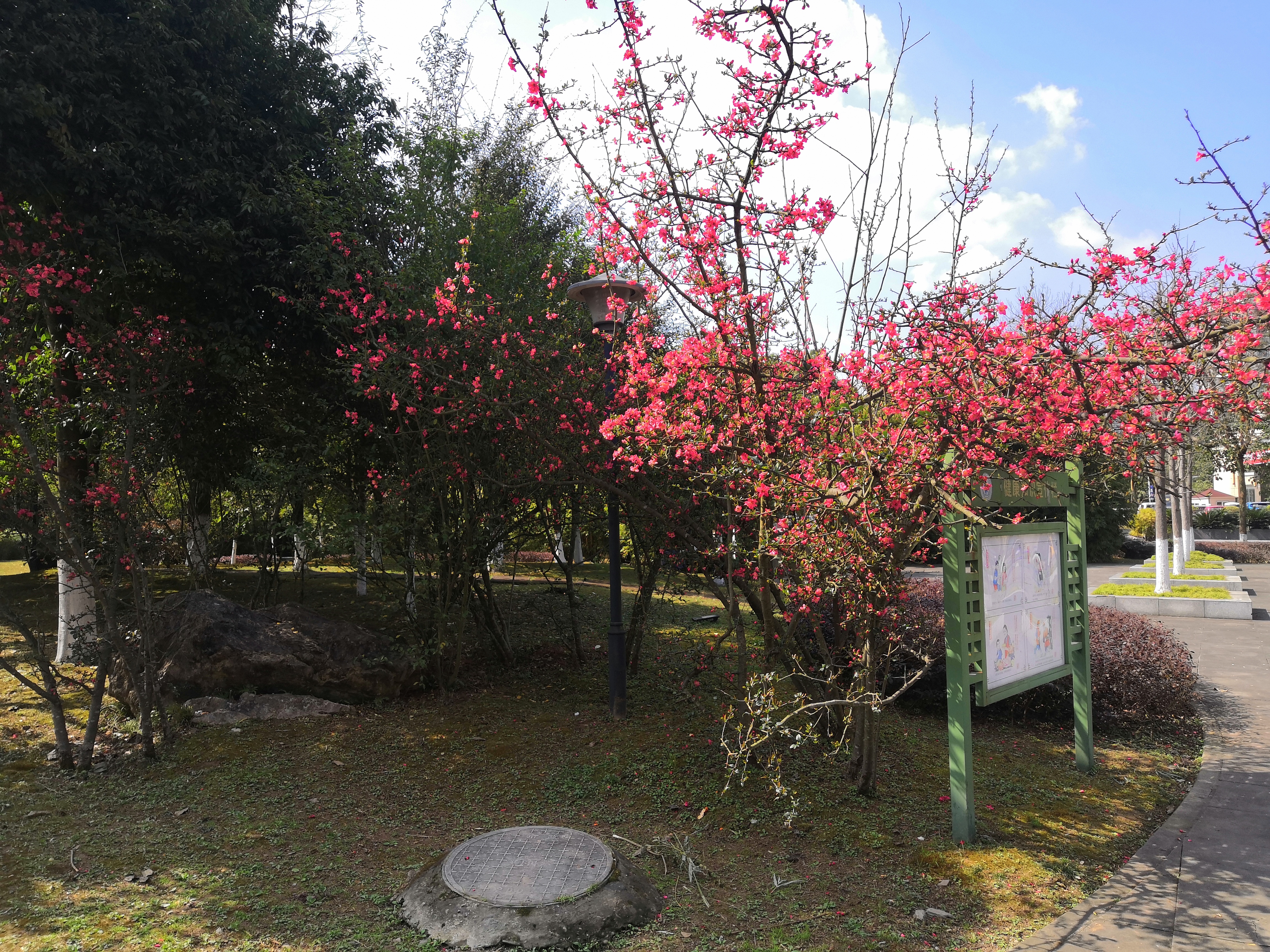 IMG_20210219_130016.jpg