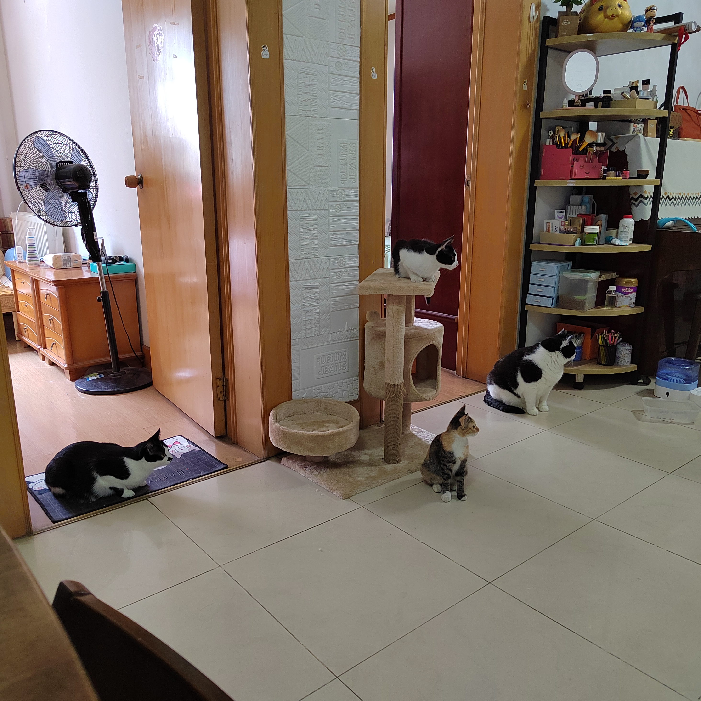 IMG_20210908_121107.jpg