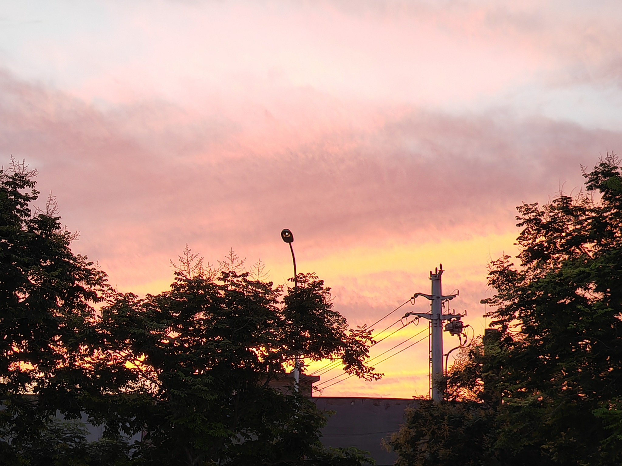IMG_20210908_183511.jpg