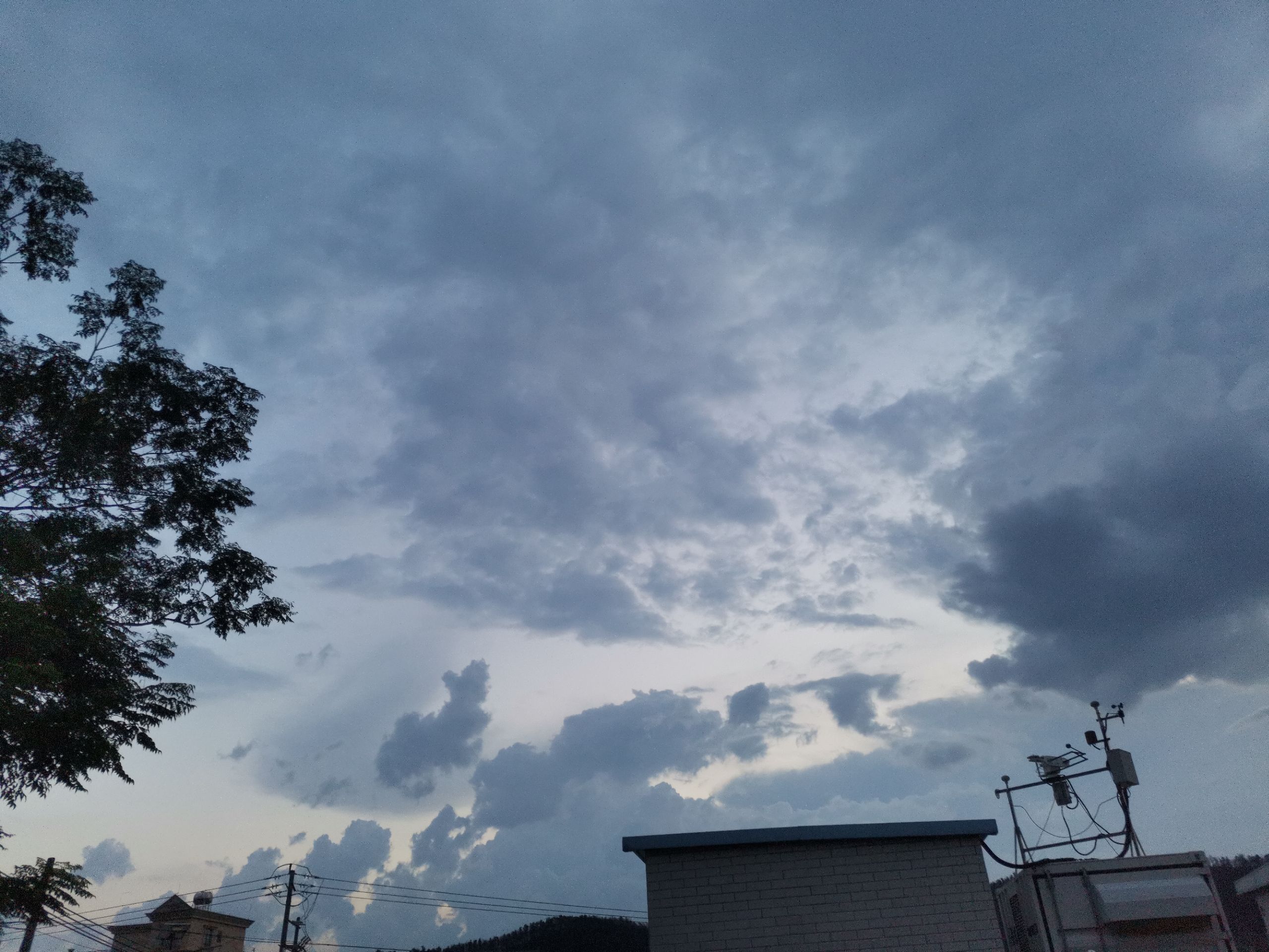 IMG_20210908_183325.jpg