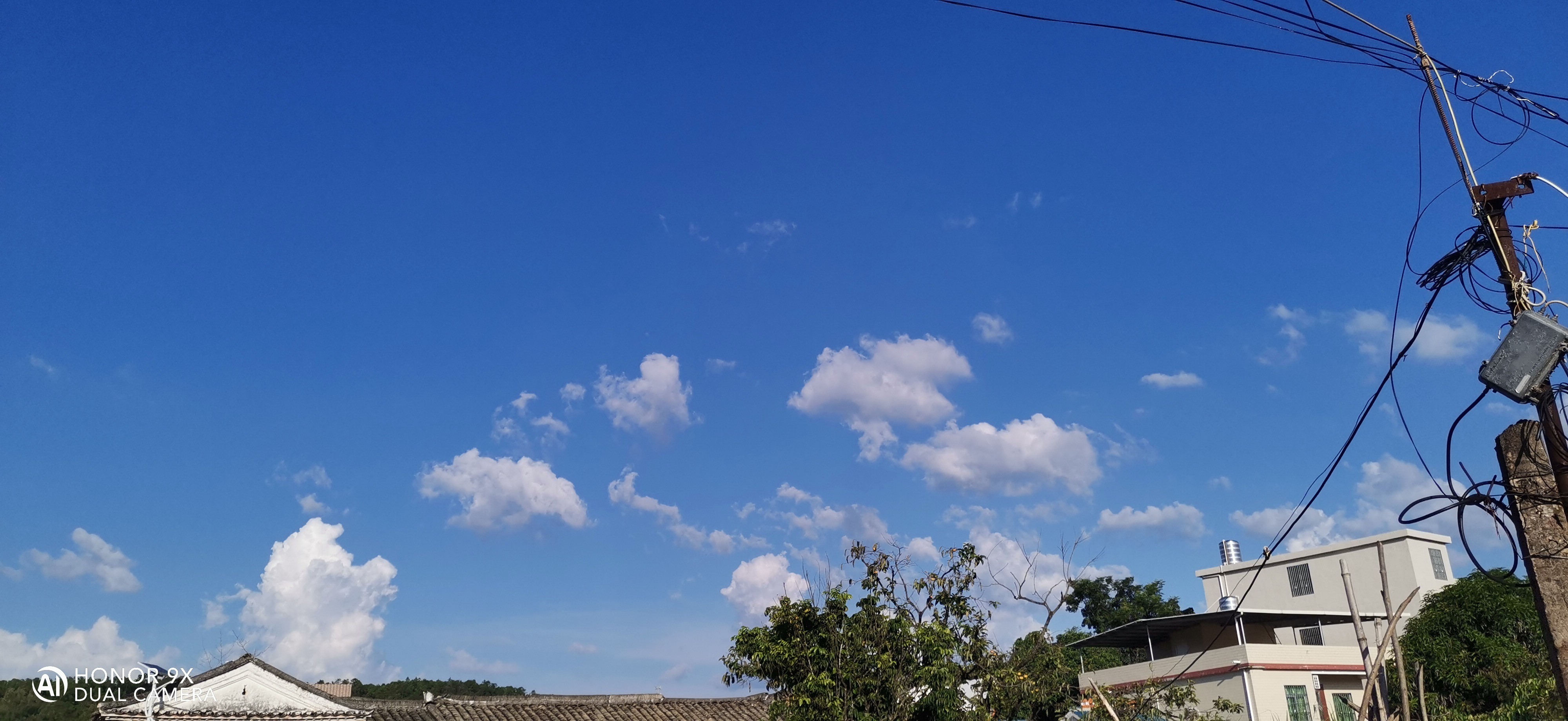 IMG_20210829_165606.jpg