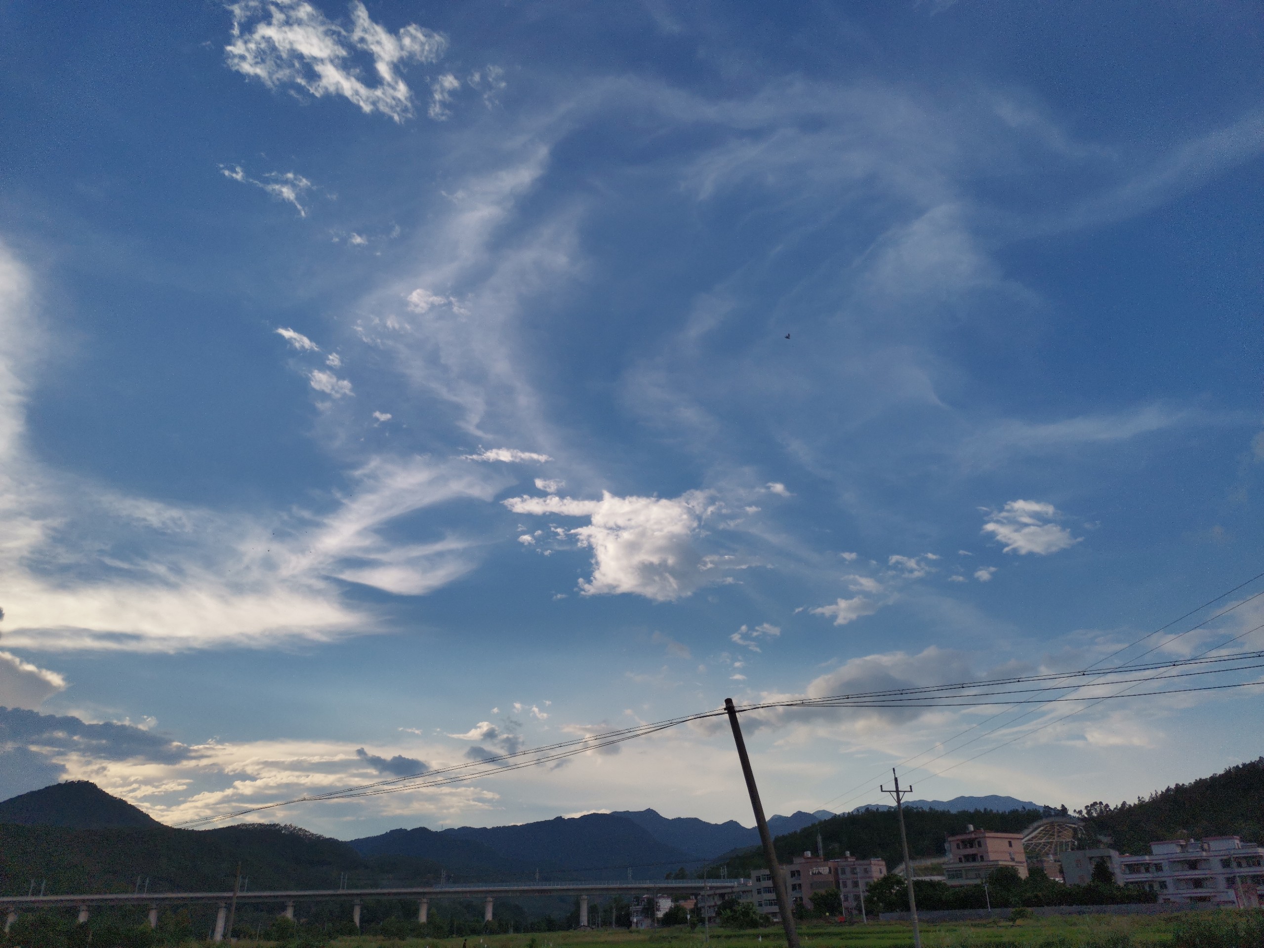 IMG_20210908_172545.jpg