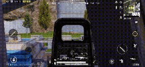 Compress_20210909_221201.gif