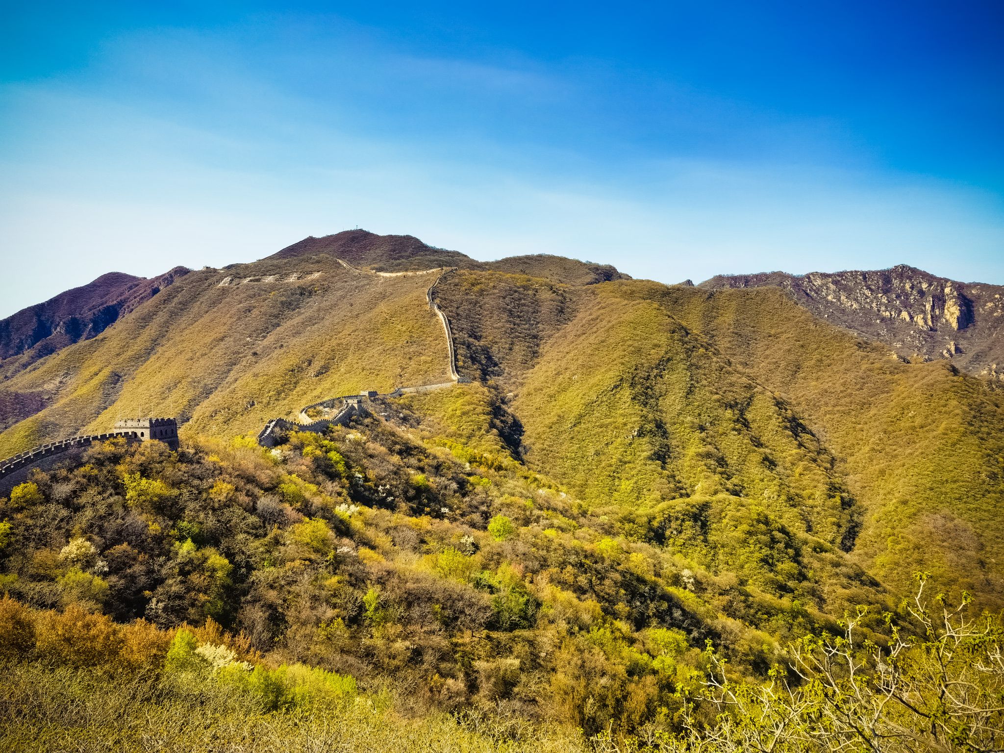 IMG_20210417_144705 (1).jpg