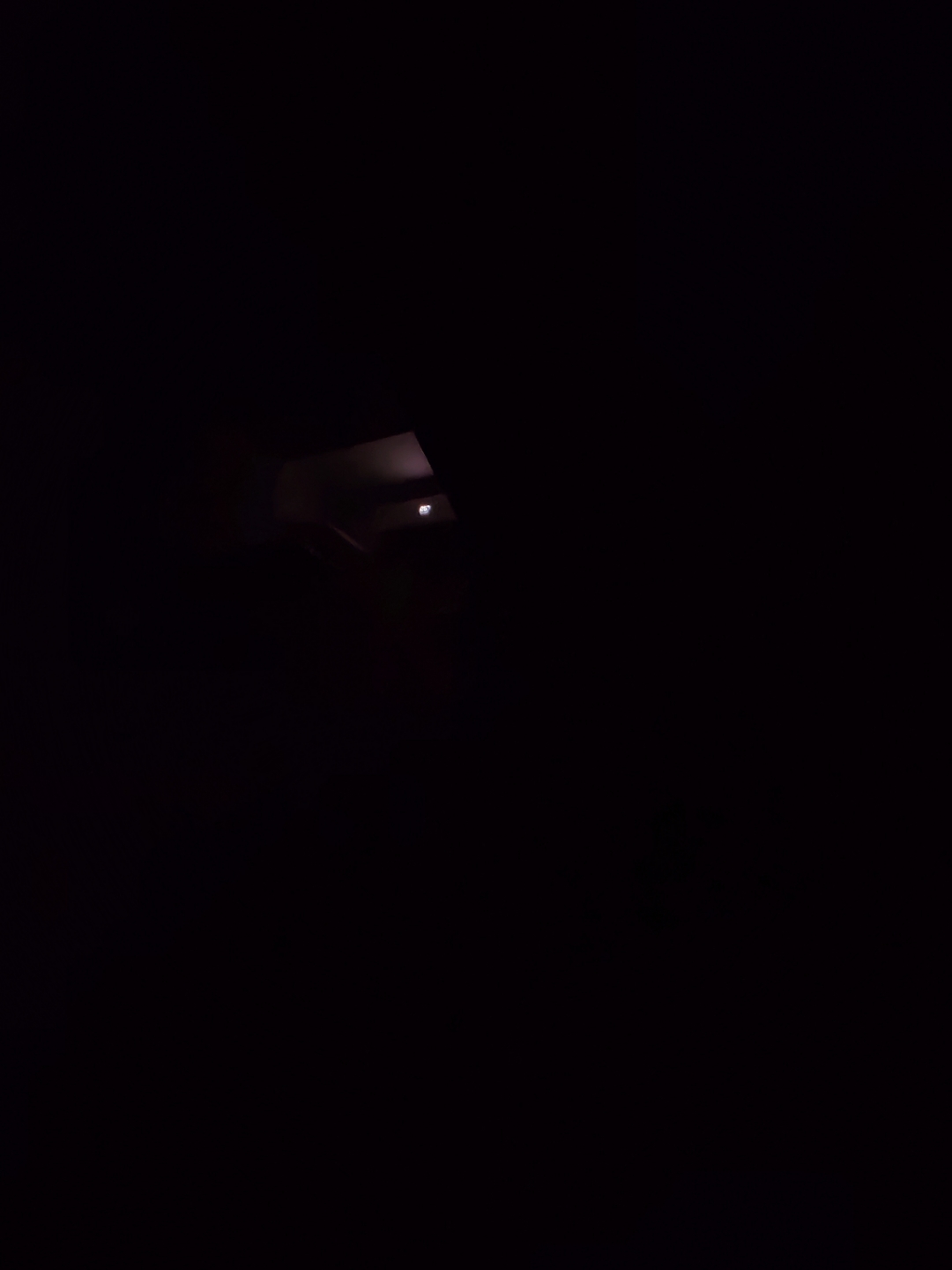 IMG_20210910_053648.jpg