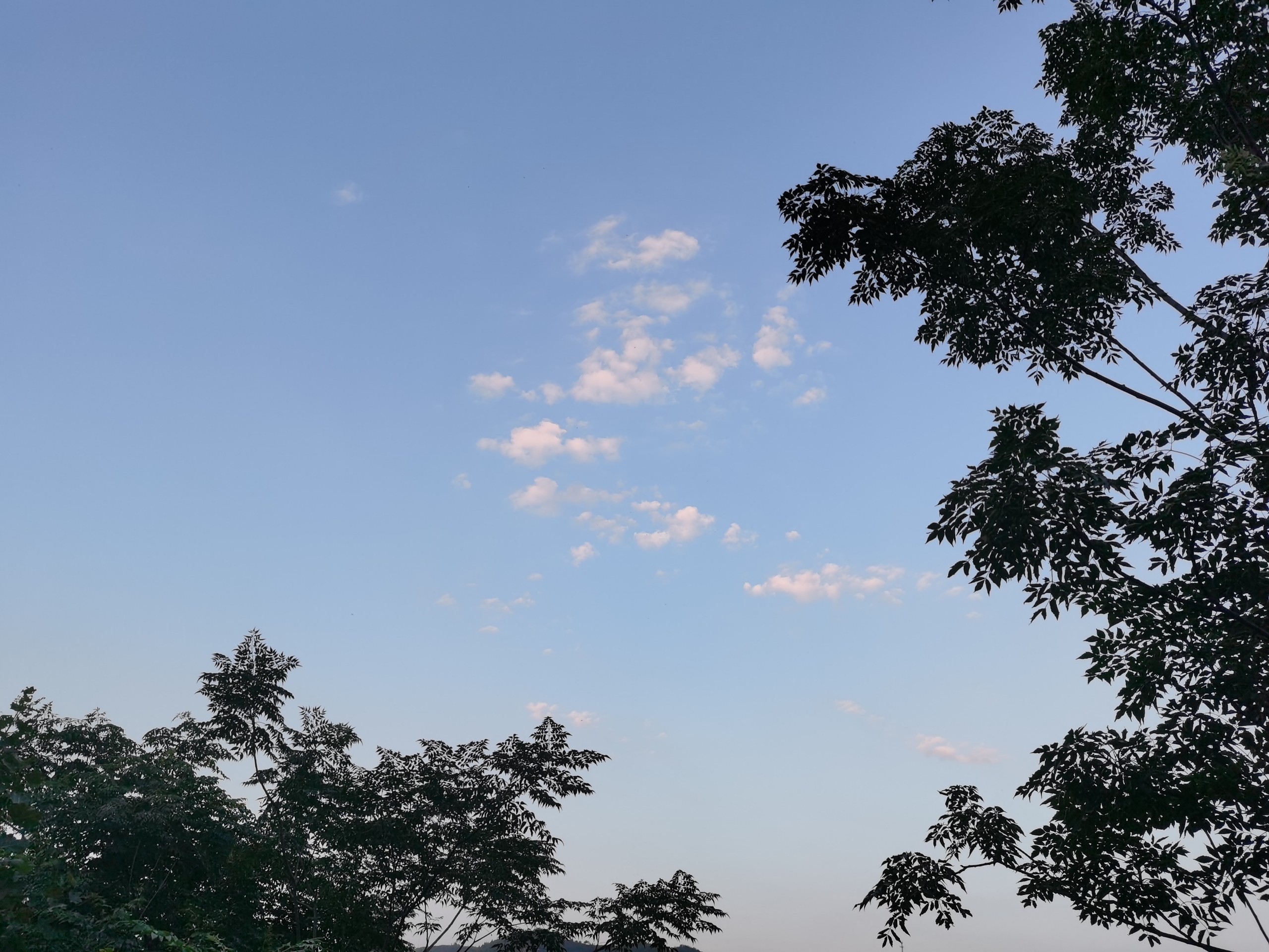 IMG_20210907_183214.jpg