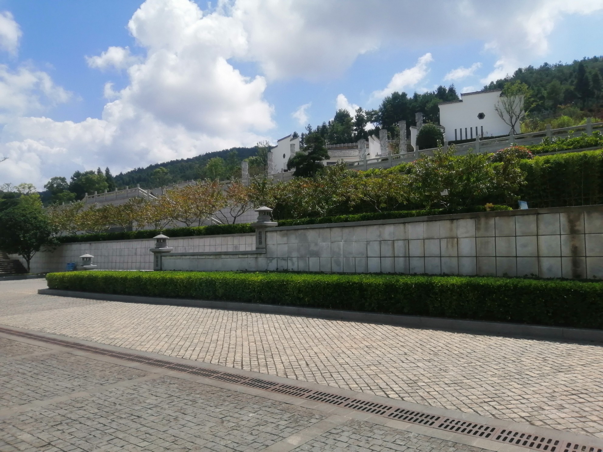 IMG_20210910_114906.jpg