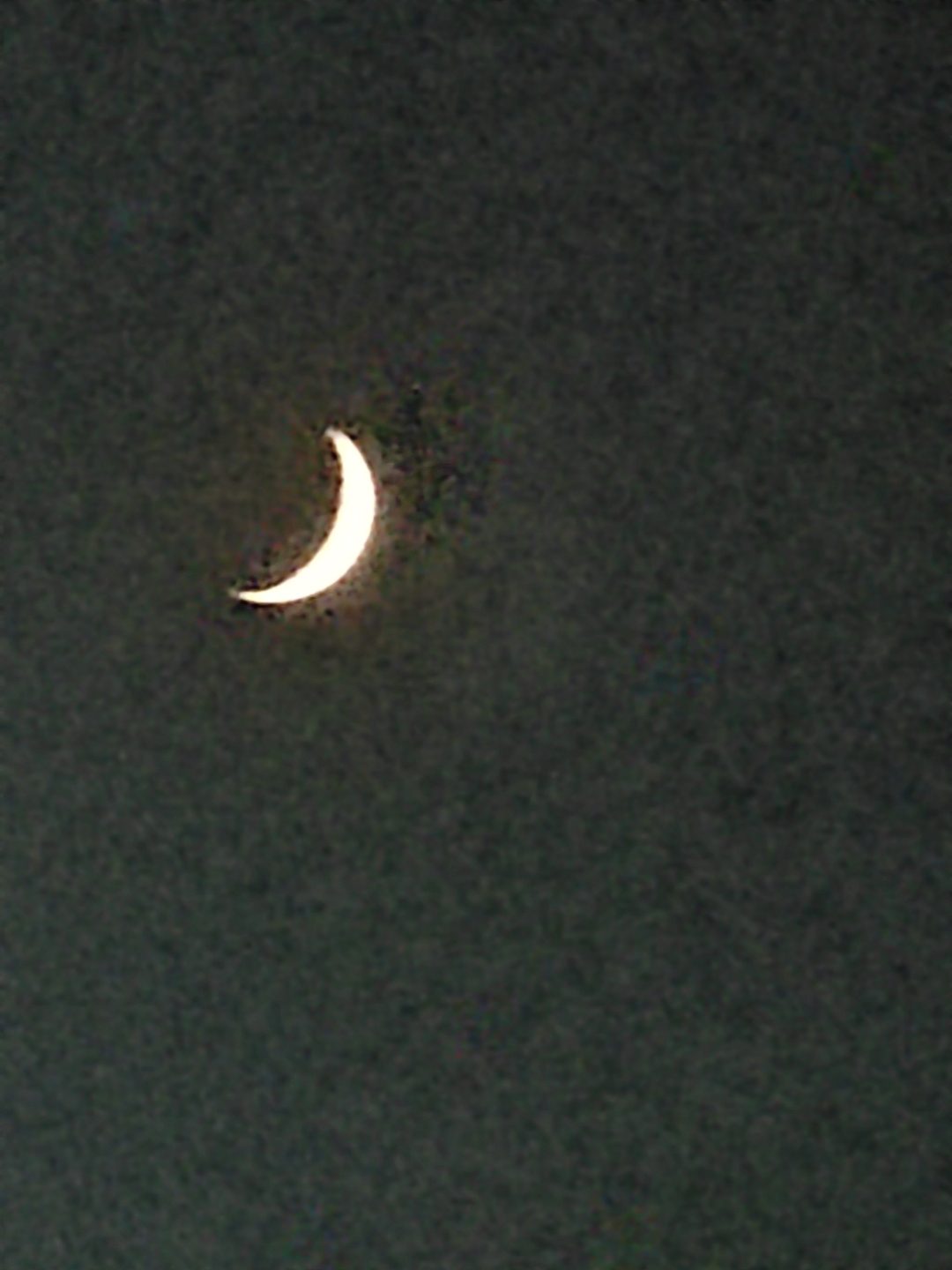 IMG_20210910_191031.jpg
