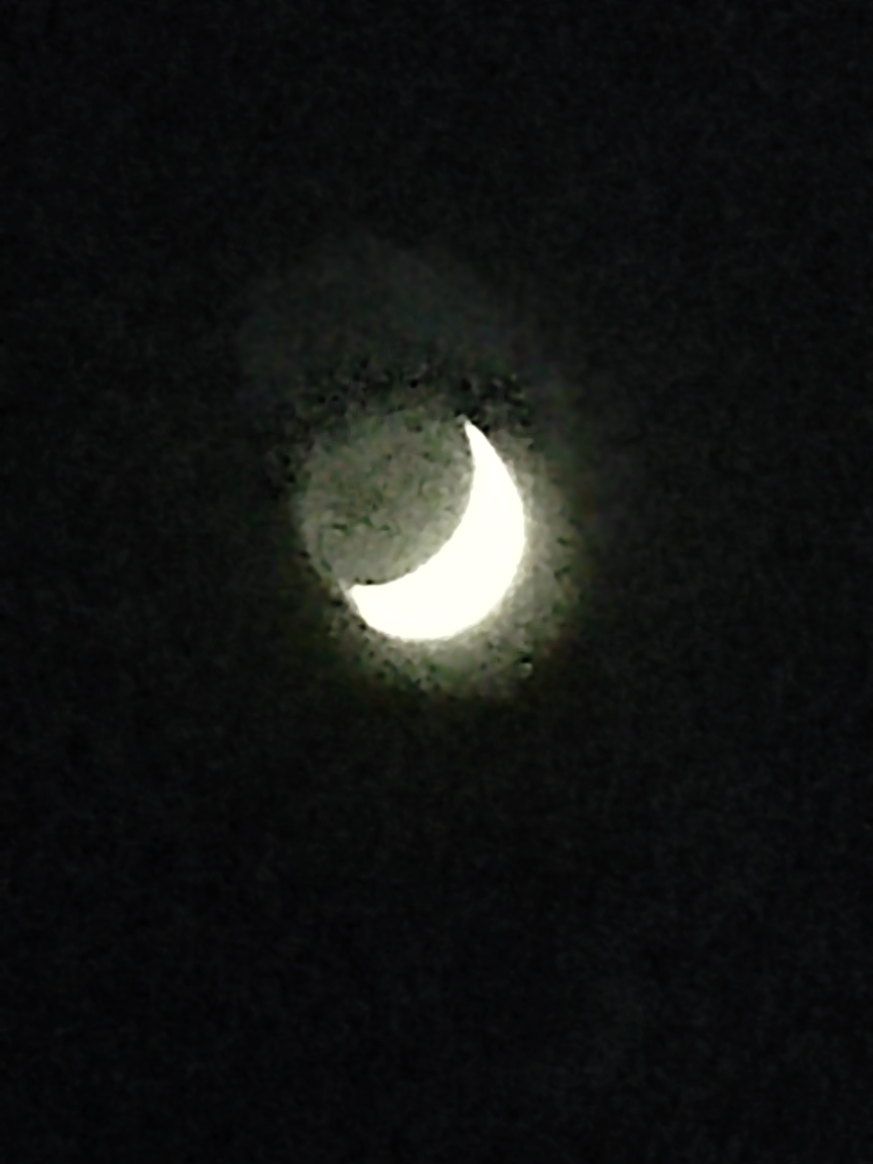 IMG_20210910_185012.jpg