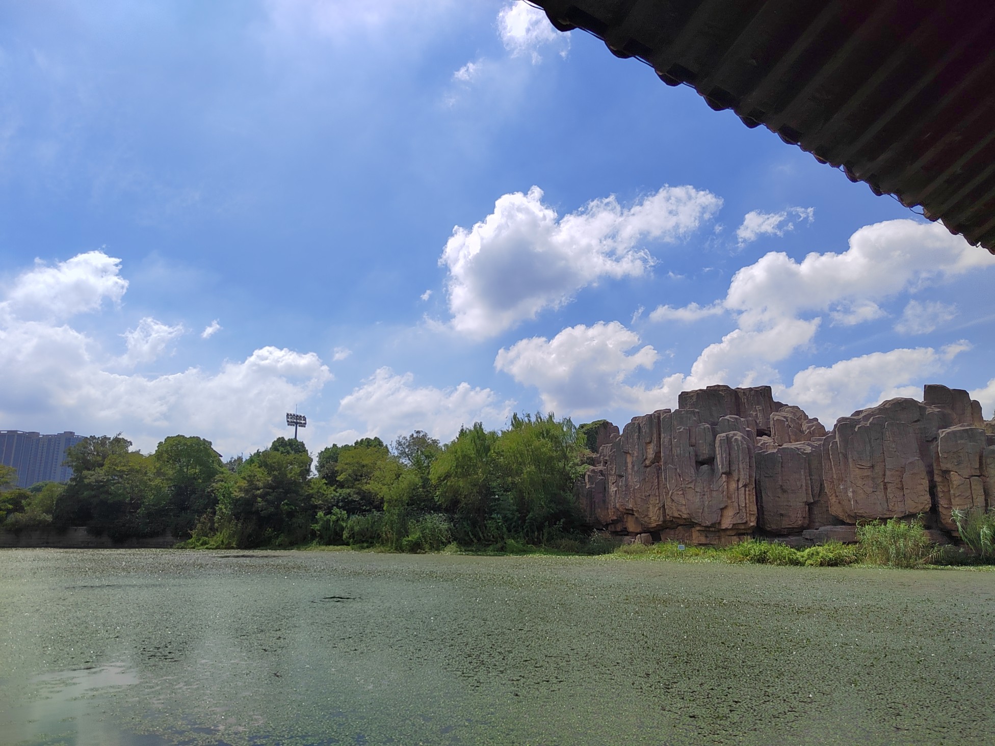 IMG_20210912_103516.jpg
