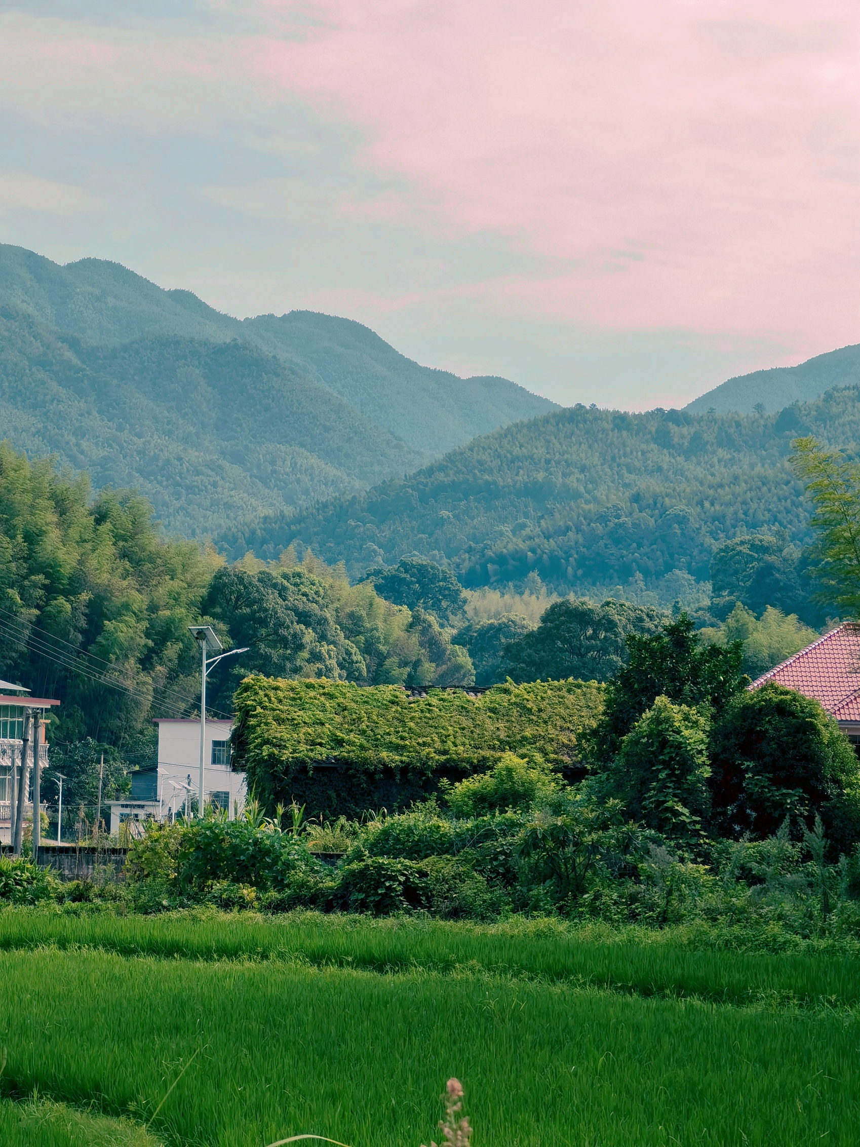 1631436038080.jpg