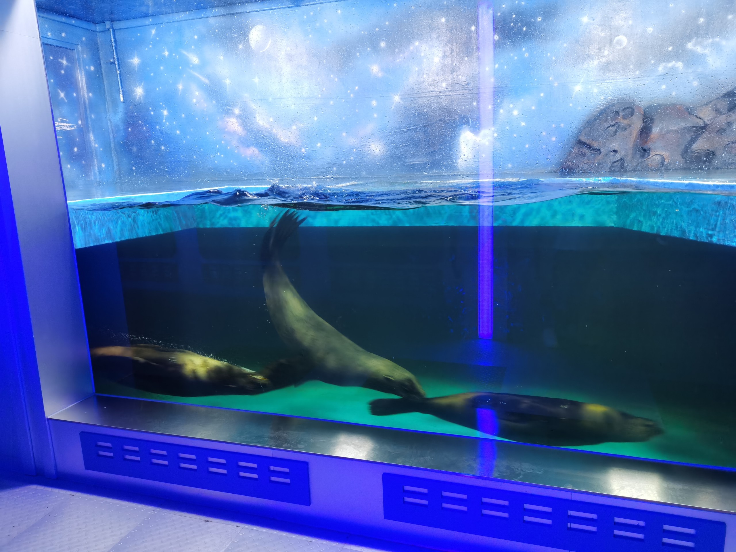 IMG_20210912_130315.jpg