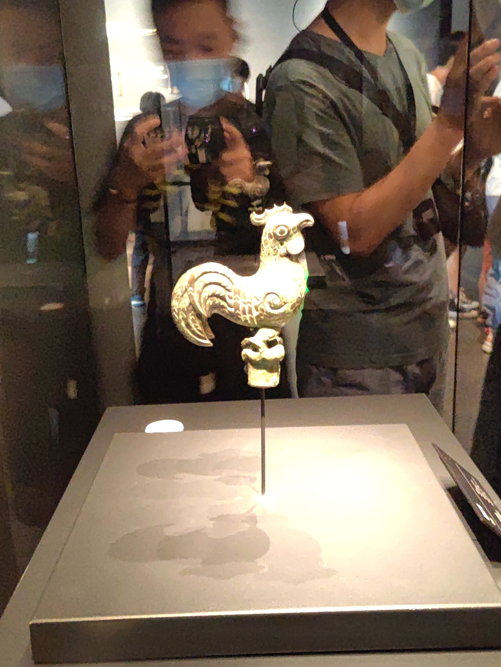 IMG_20210912_113343.jpg