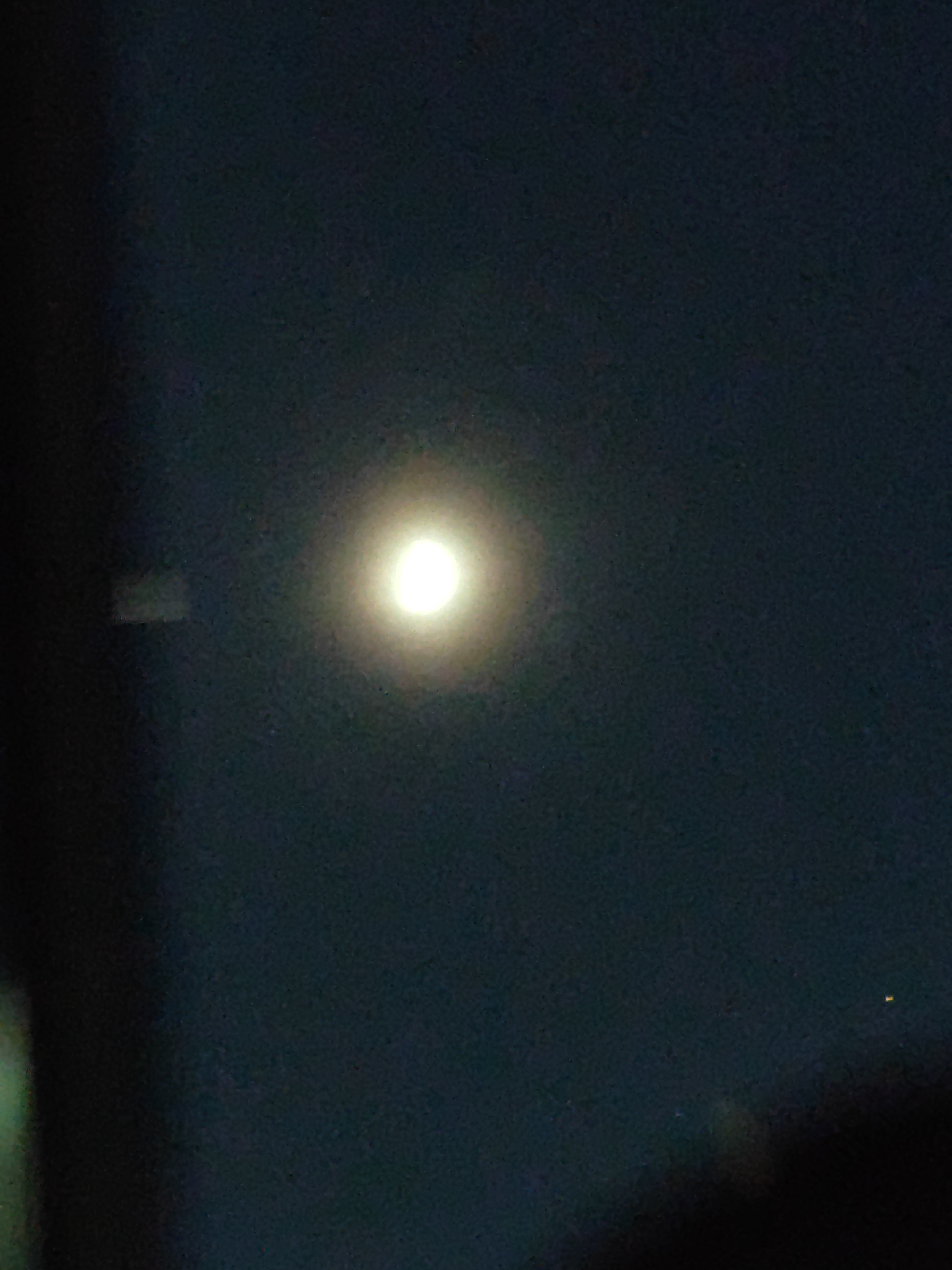 IMG_20210913_191259.jpg