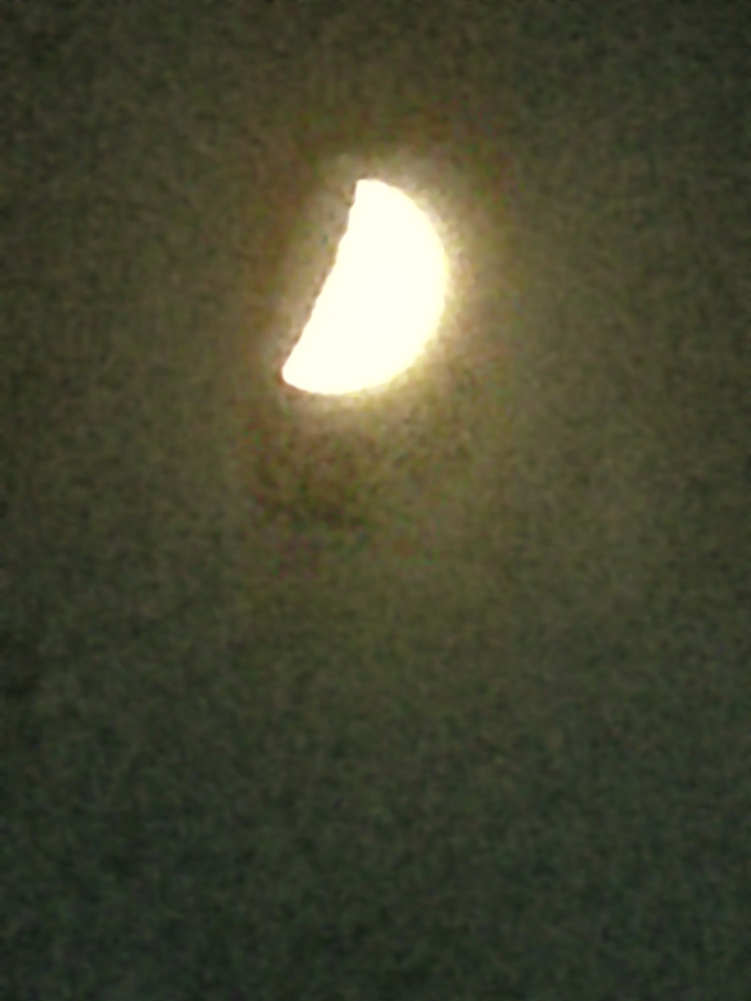 IMG_20210913_200333.jpg