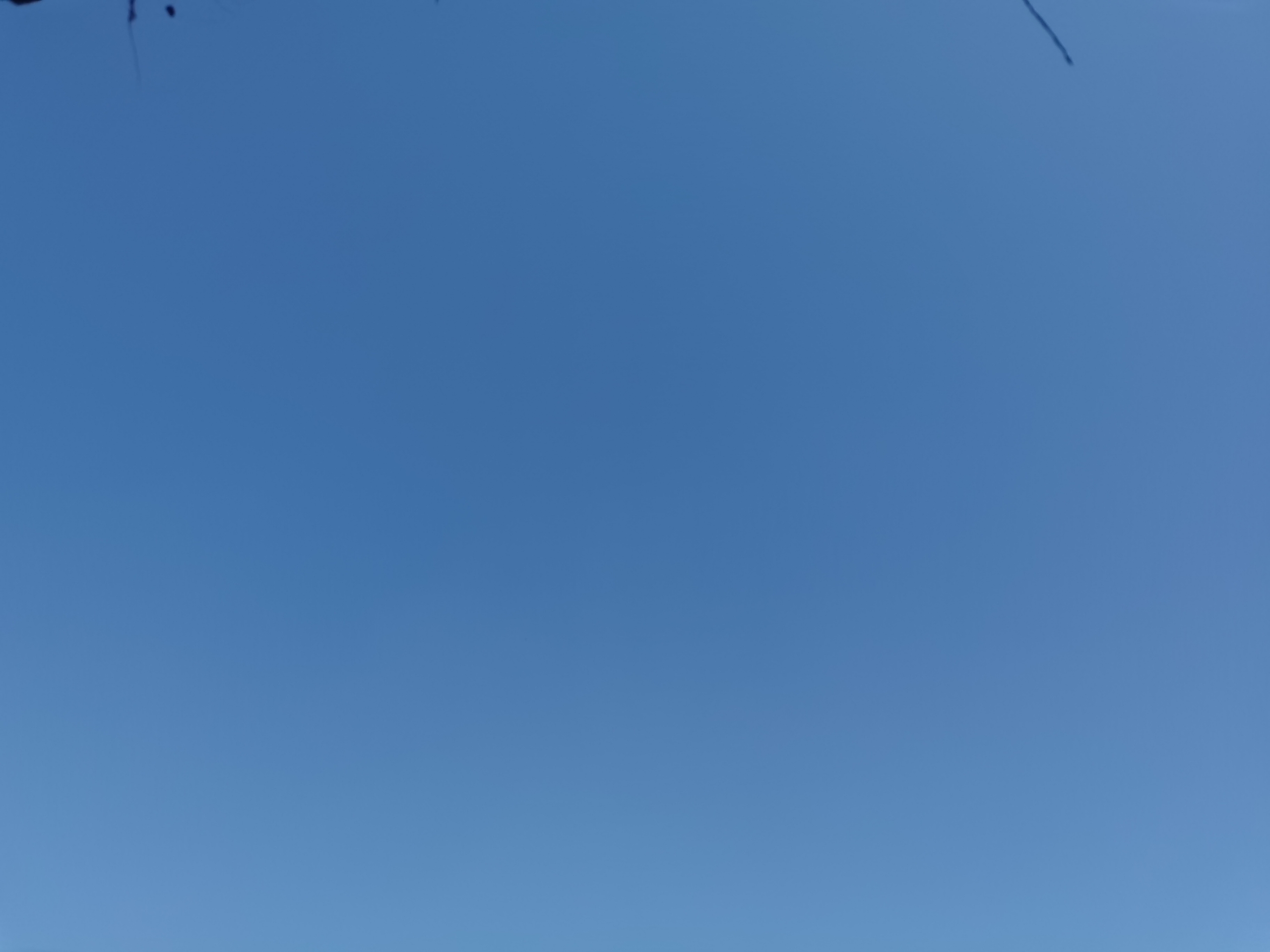 IMG_20210910_110505.jpg