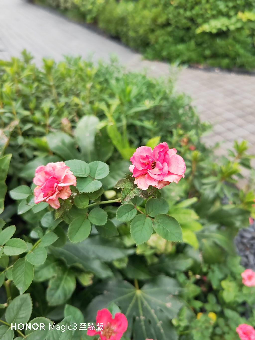IMG_20210912_093938.jpg