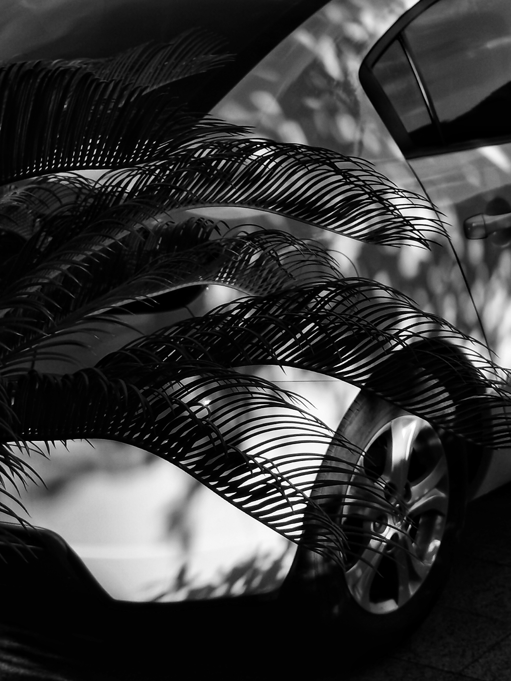 IMG_20210912_170105-01.jpeg