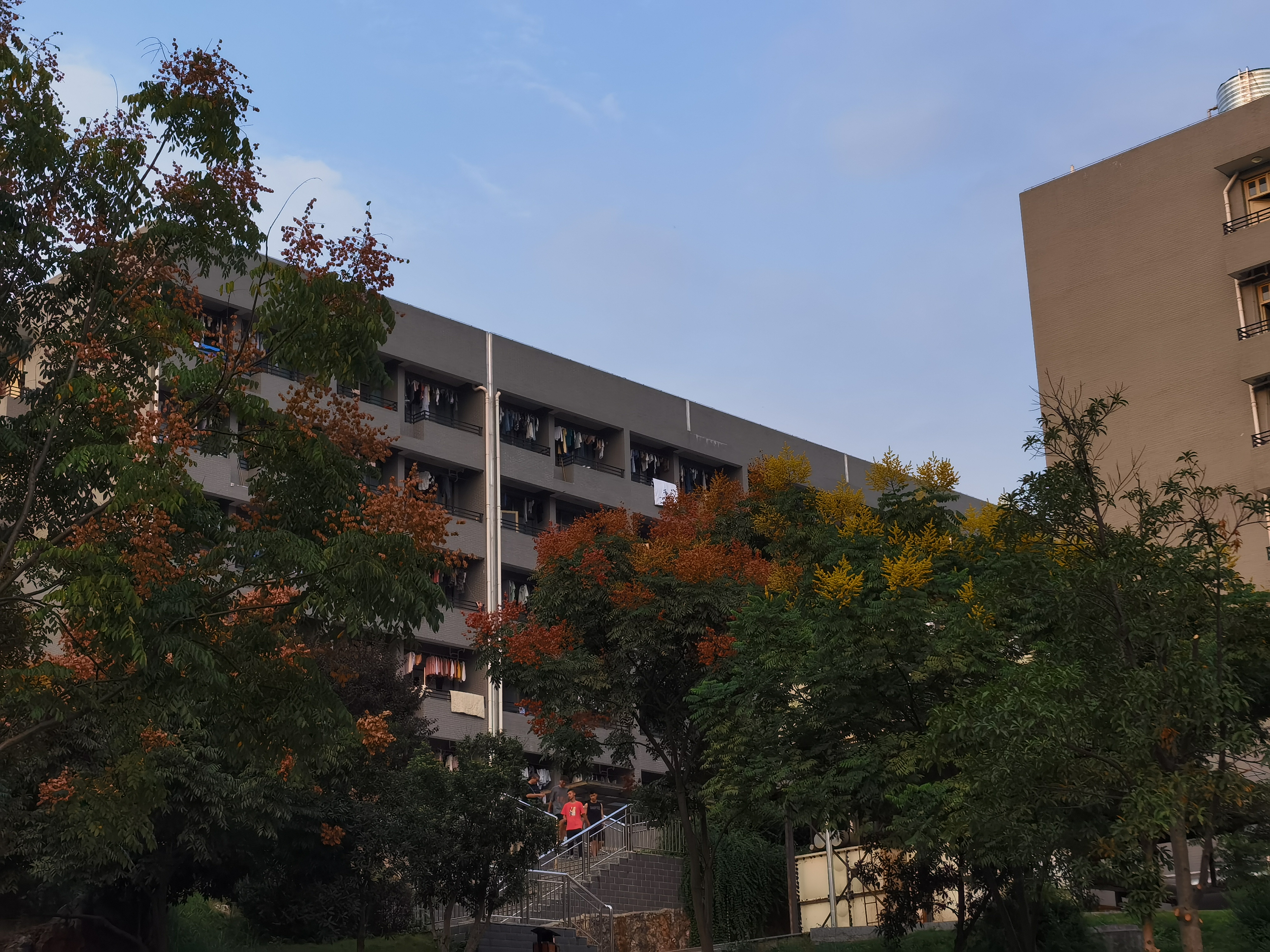 IMG_20210913_174547.jpg