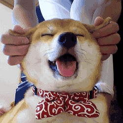 dbf0d98c91ce4ad2a04d04538cf32be4.gif