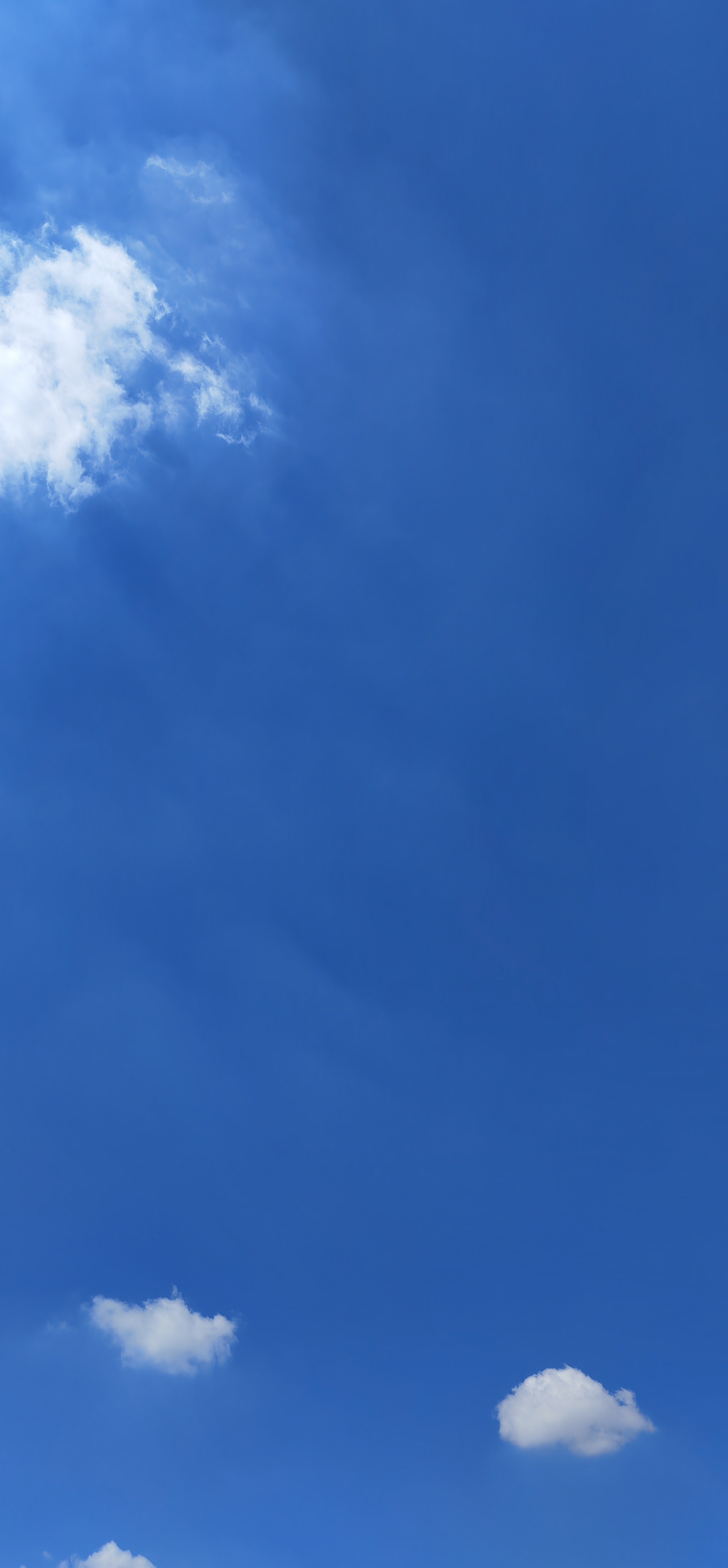 IMG_20210907_121836.jpg