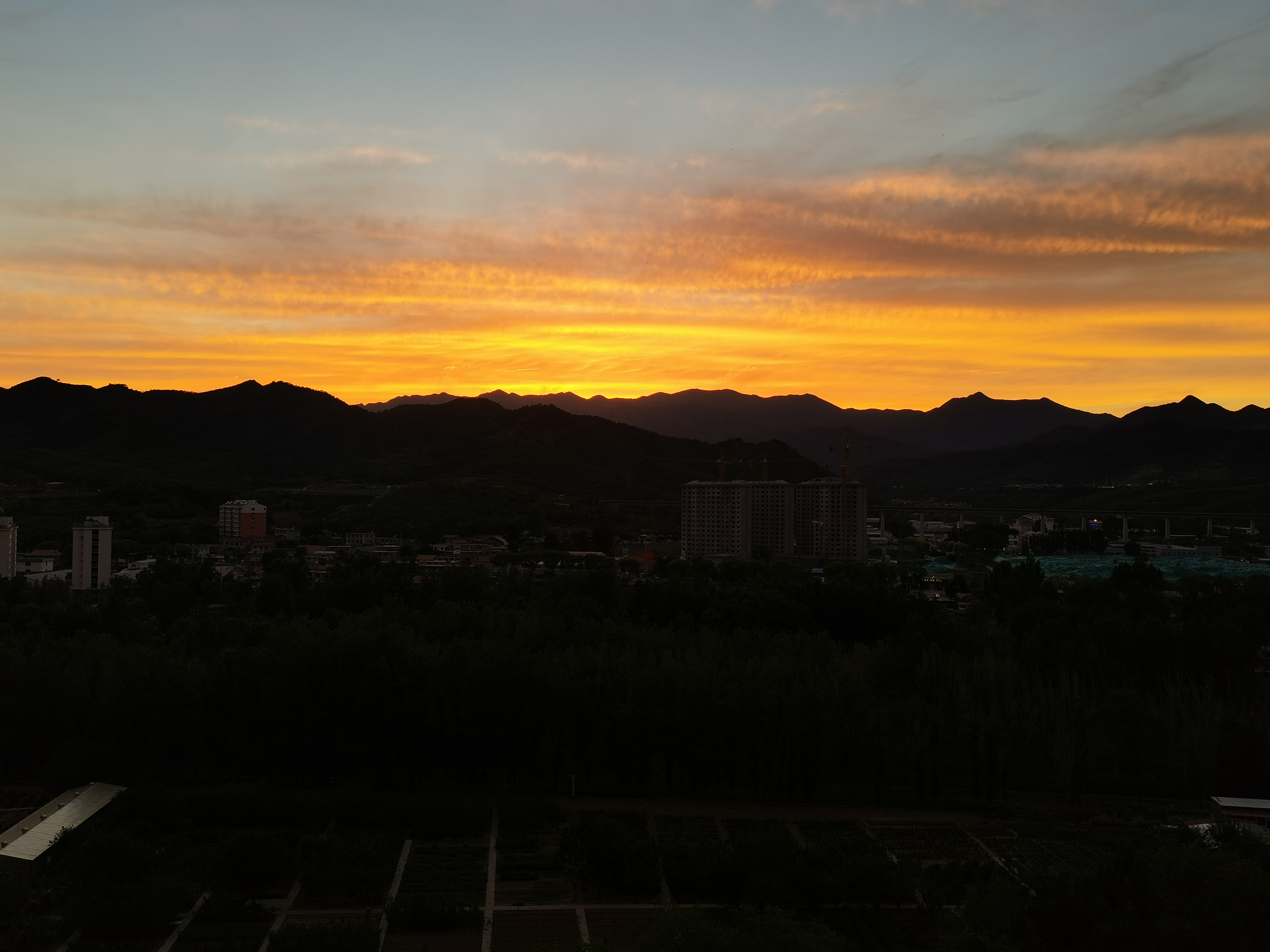 IMG_20210611_194301.jpg