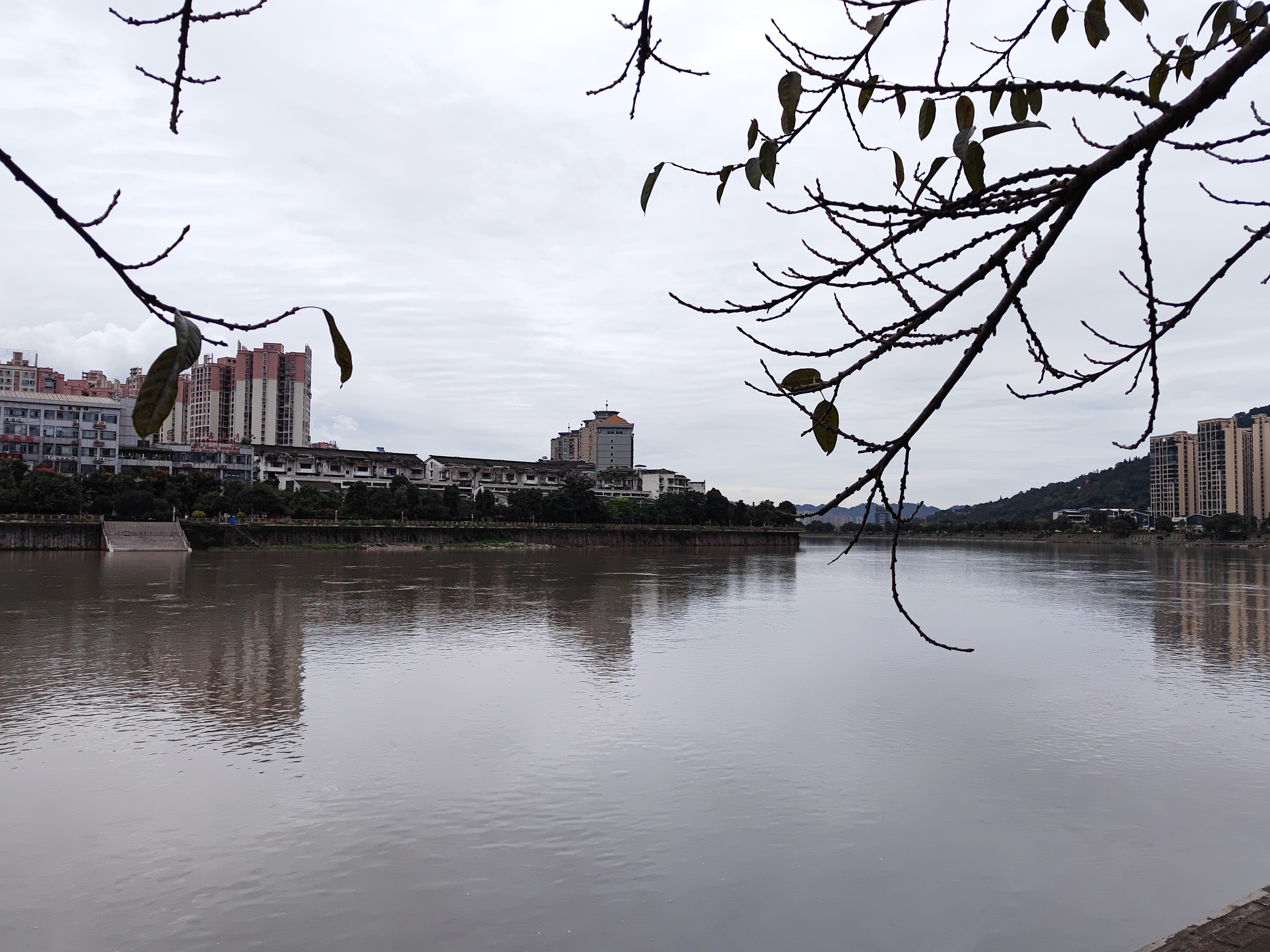 IMG_20210917_124733.jpg