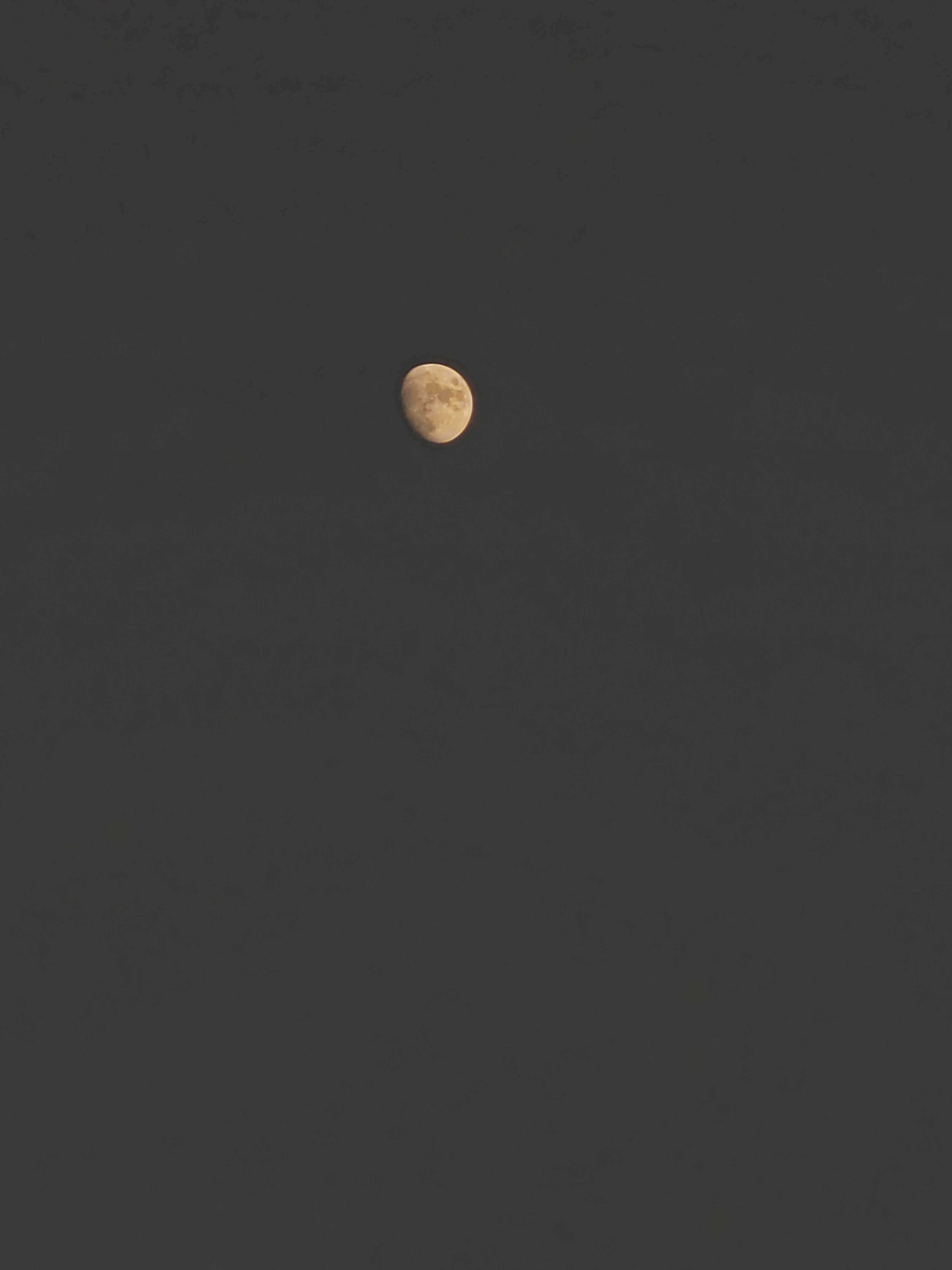 IMG_20210917_175655.jpg