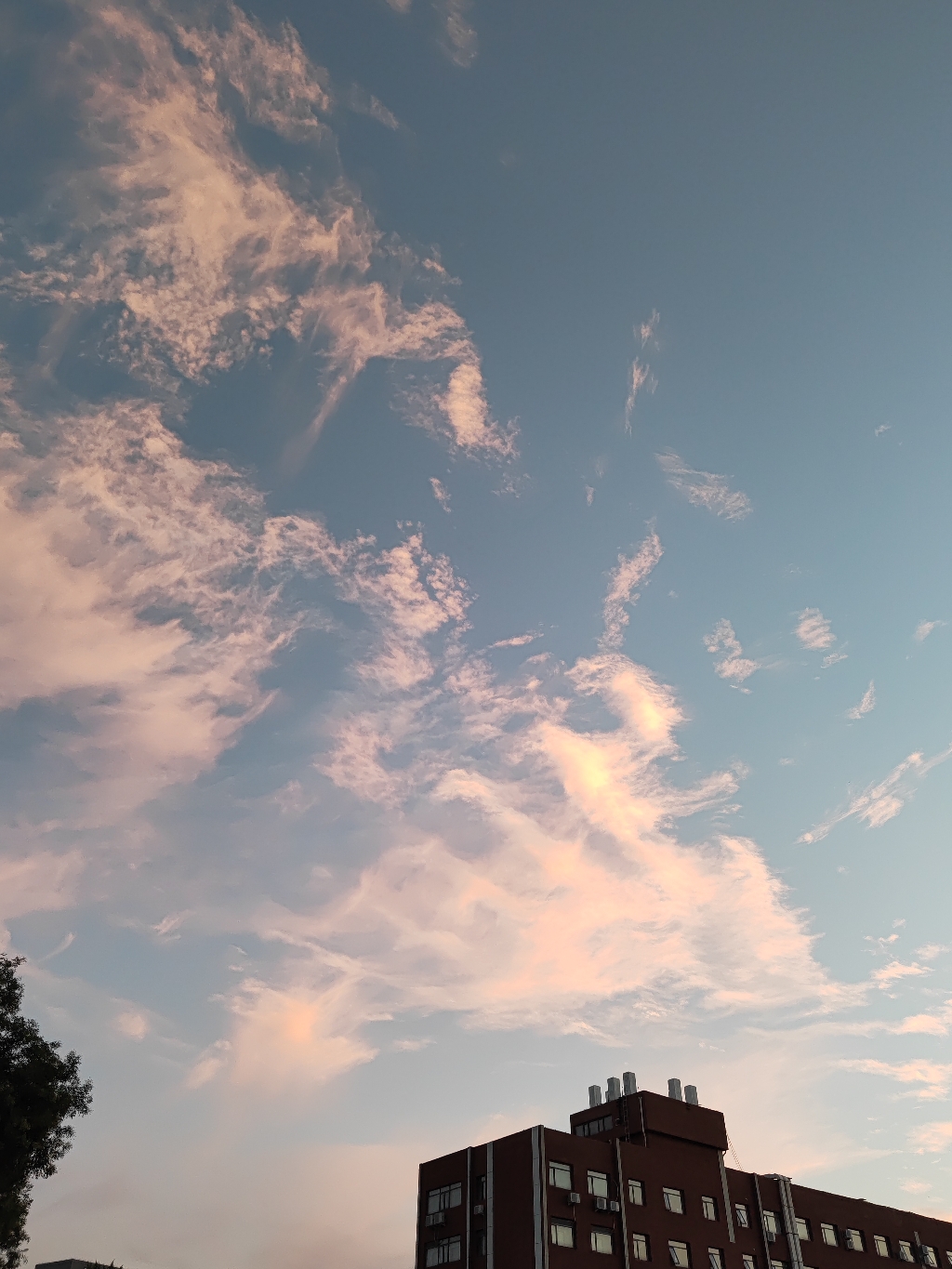 IMG_20210917_182755.jpg