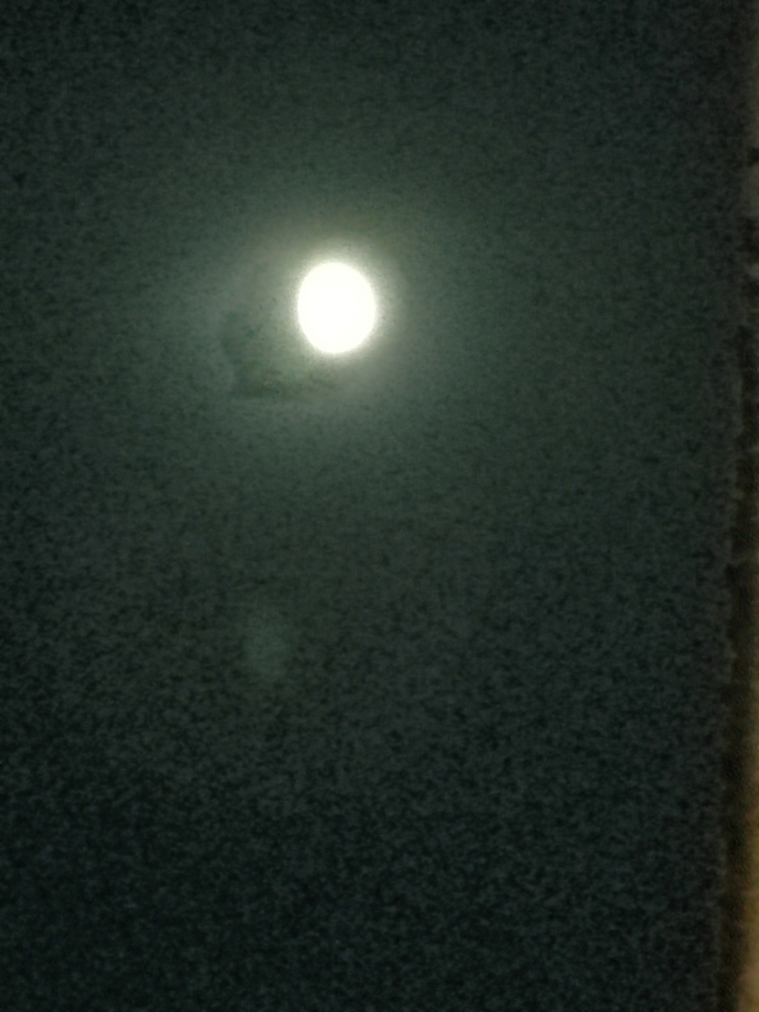 IMG_20210917_190727.jpg