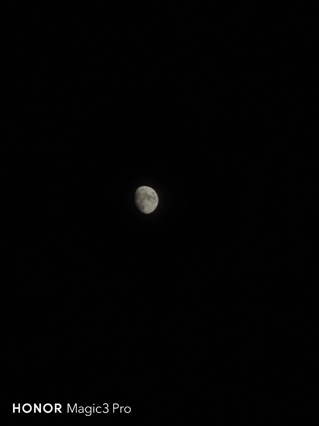 IMG_20210917_191152.jpg