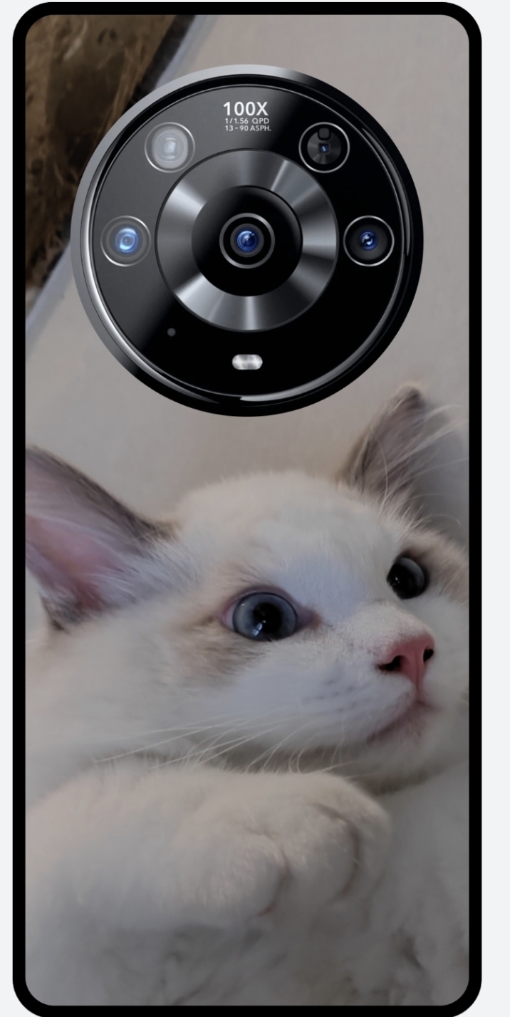 Screenshot_20210917_215255.jpg