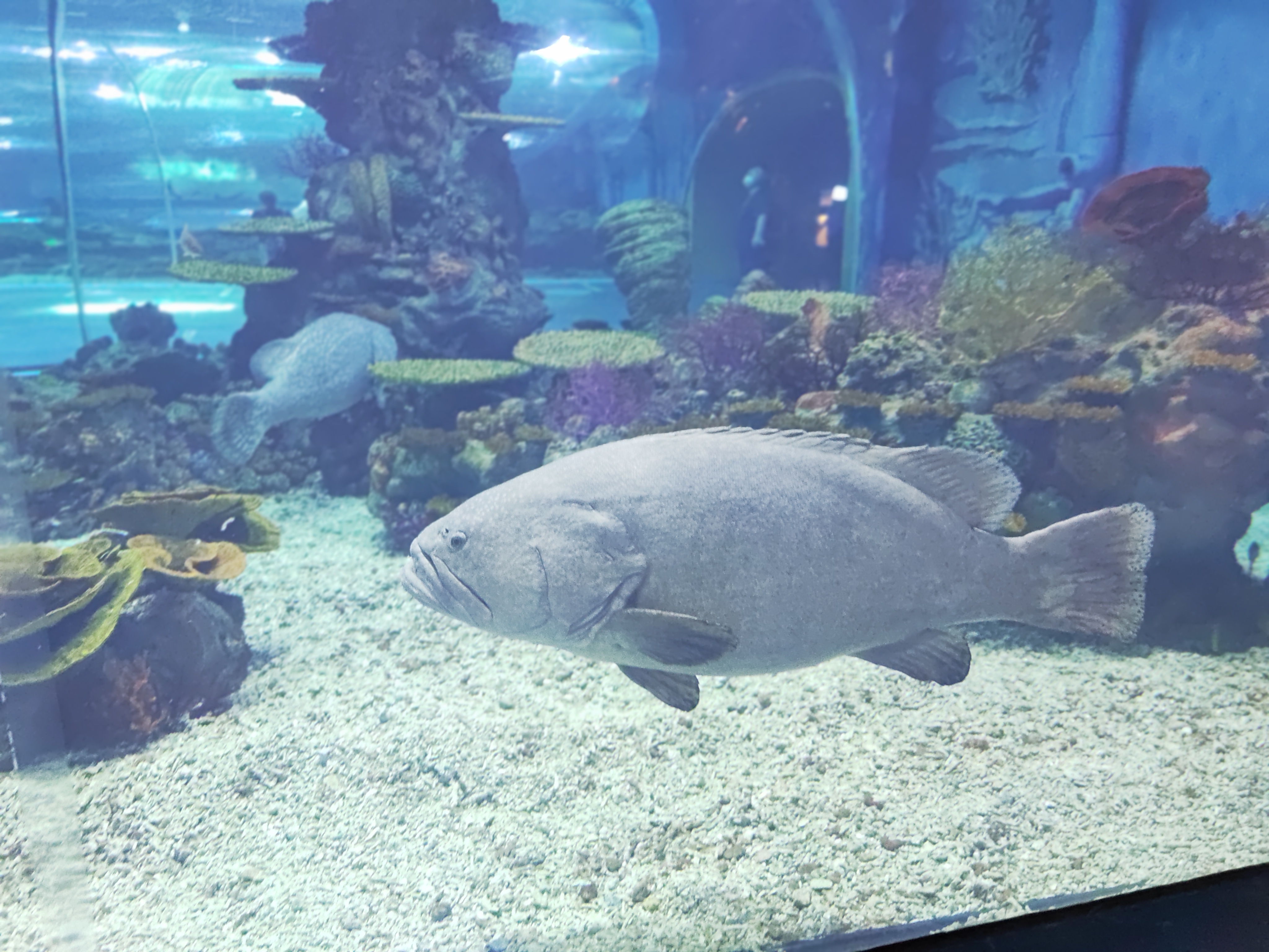 IMG_20210918_130316.jpg